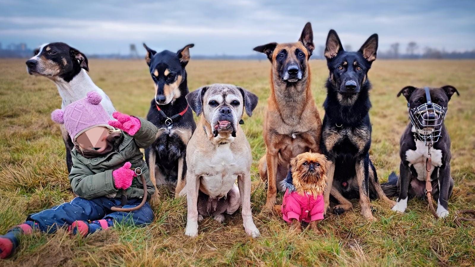 Pommes hat im Tierheim viele Freunde.