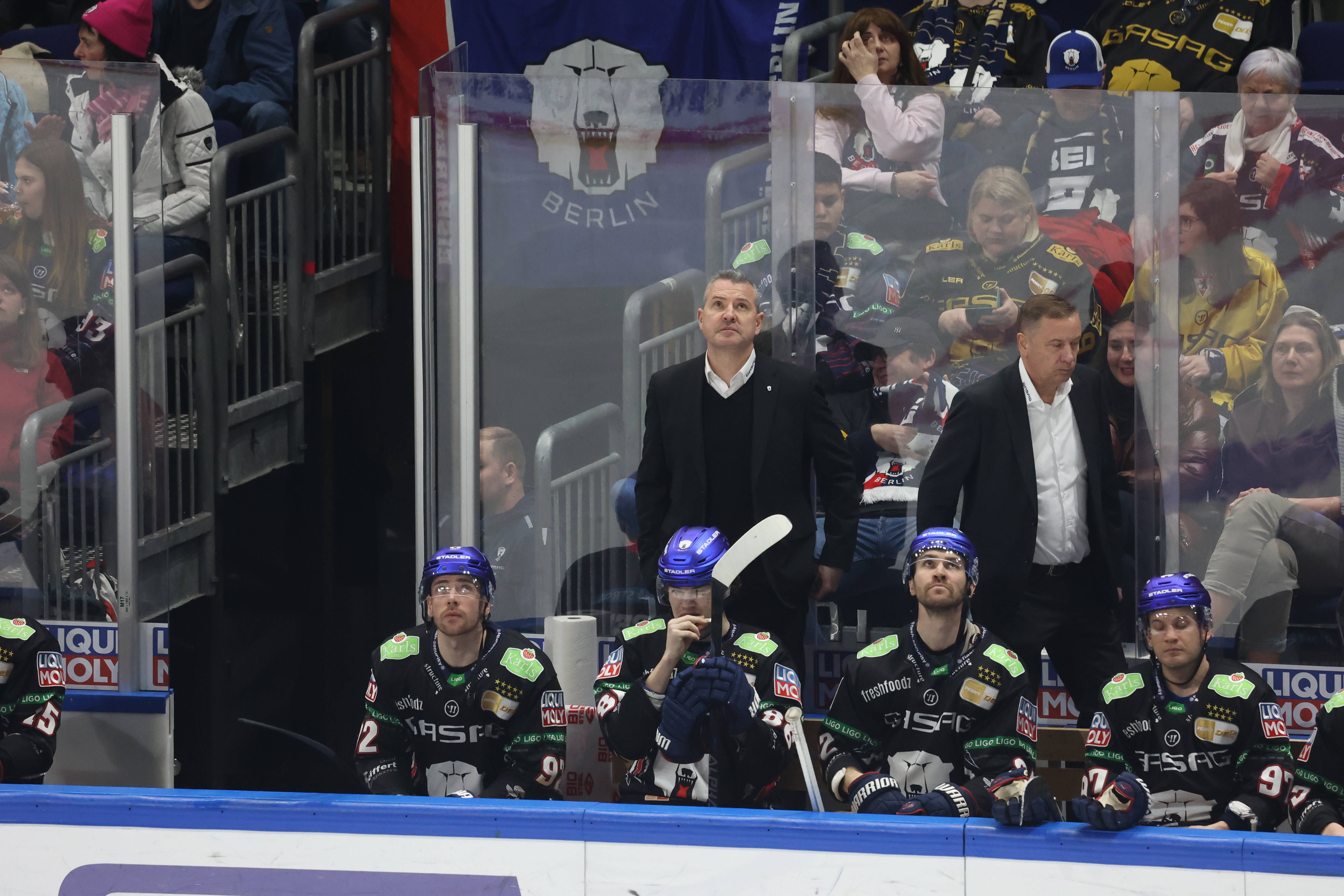 Image - Eisbären und die Pre-Play-offs: Ohne fünf Siege ist wohl alles aus!
