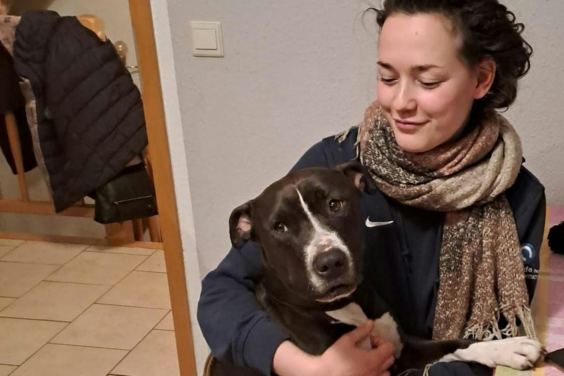 Pommes ist ein Listenhund und sucht ein neues Zuhause. 