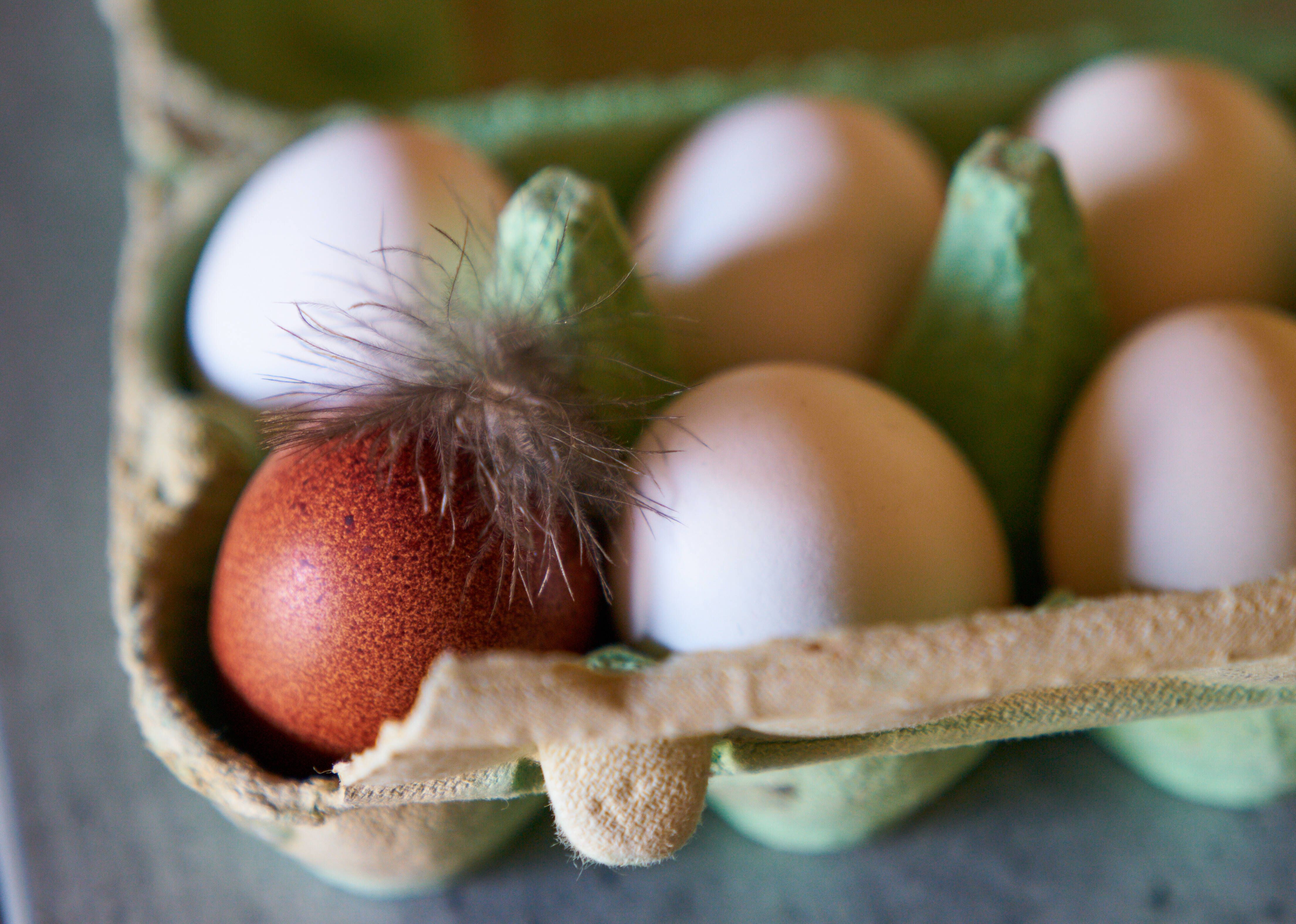 Image - Experten warnen: Rohe Lebensmittel – die unterschätzte Gefahr