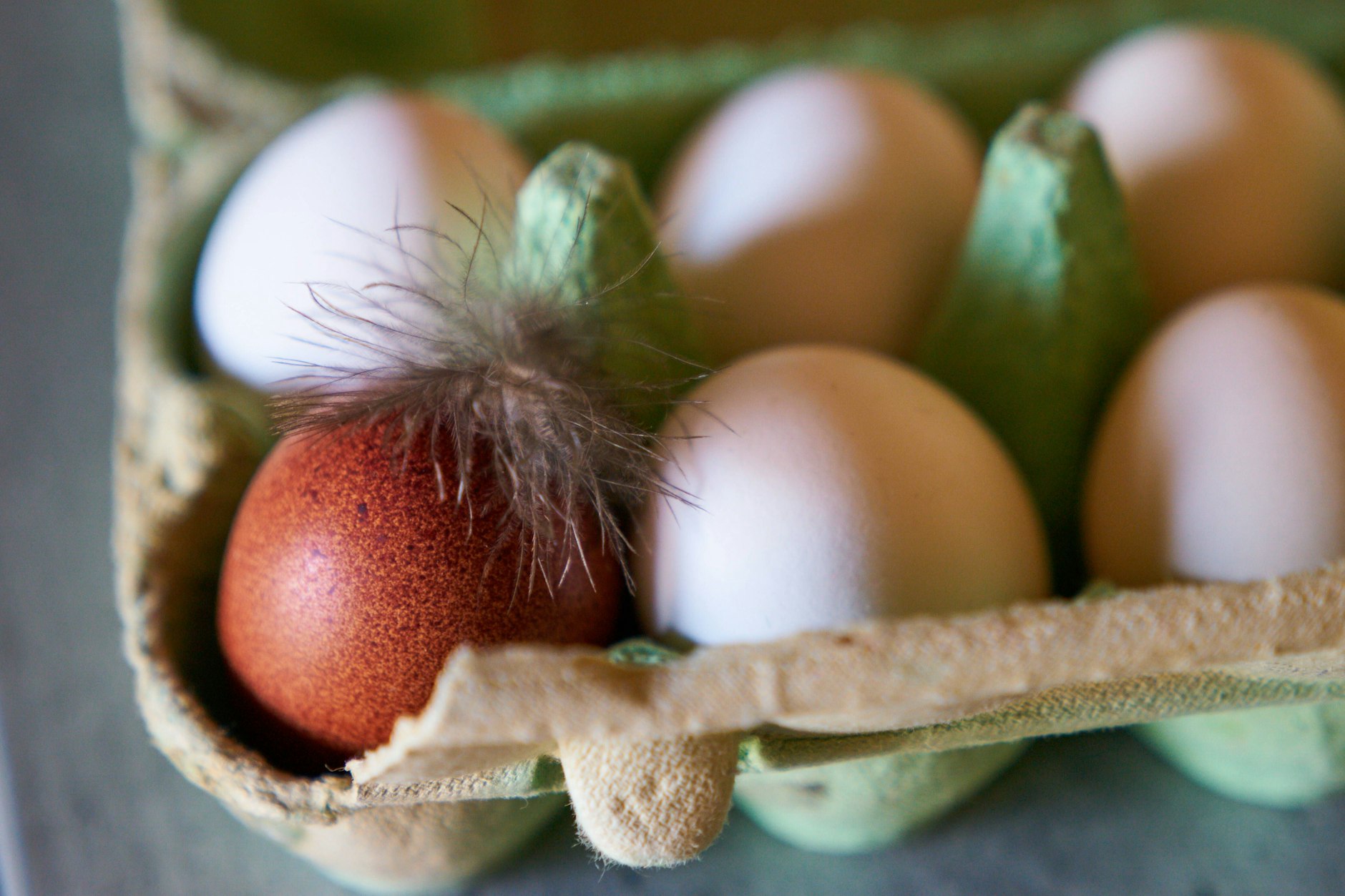 Rohe Eier – Gefahren durch Salmonellen und andere Keime sollten nicht unterschätzt werden. (Symbolbild)