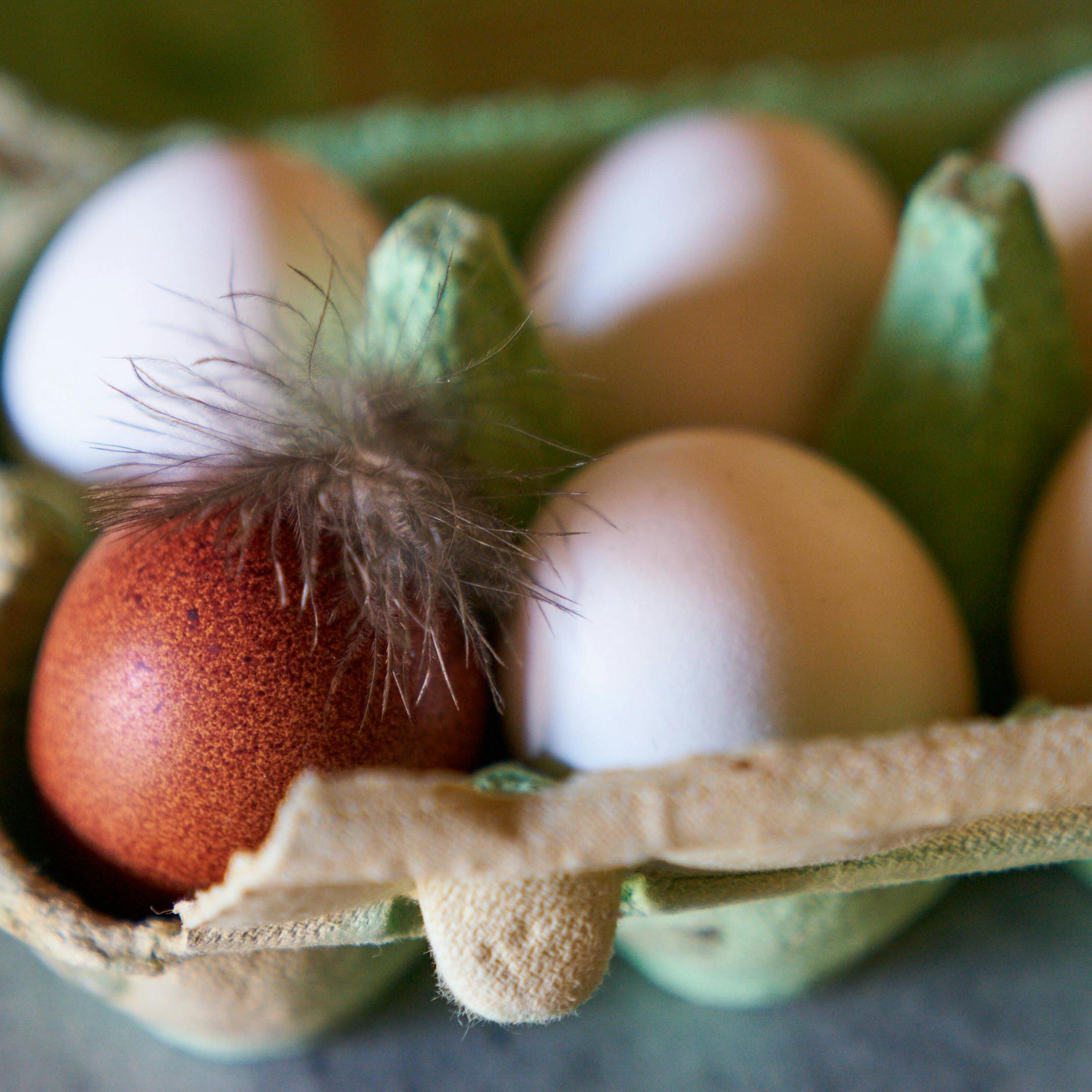 Experten warnen: Rohe Lebensmittel – die unterschätzte Gefahr