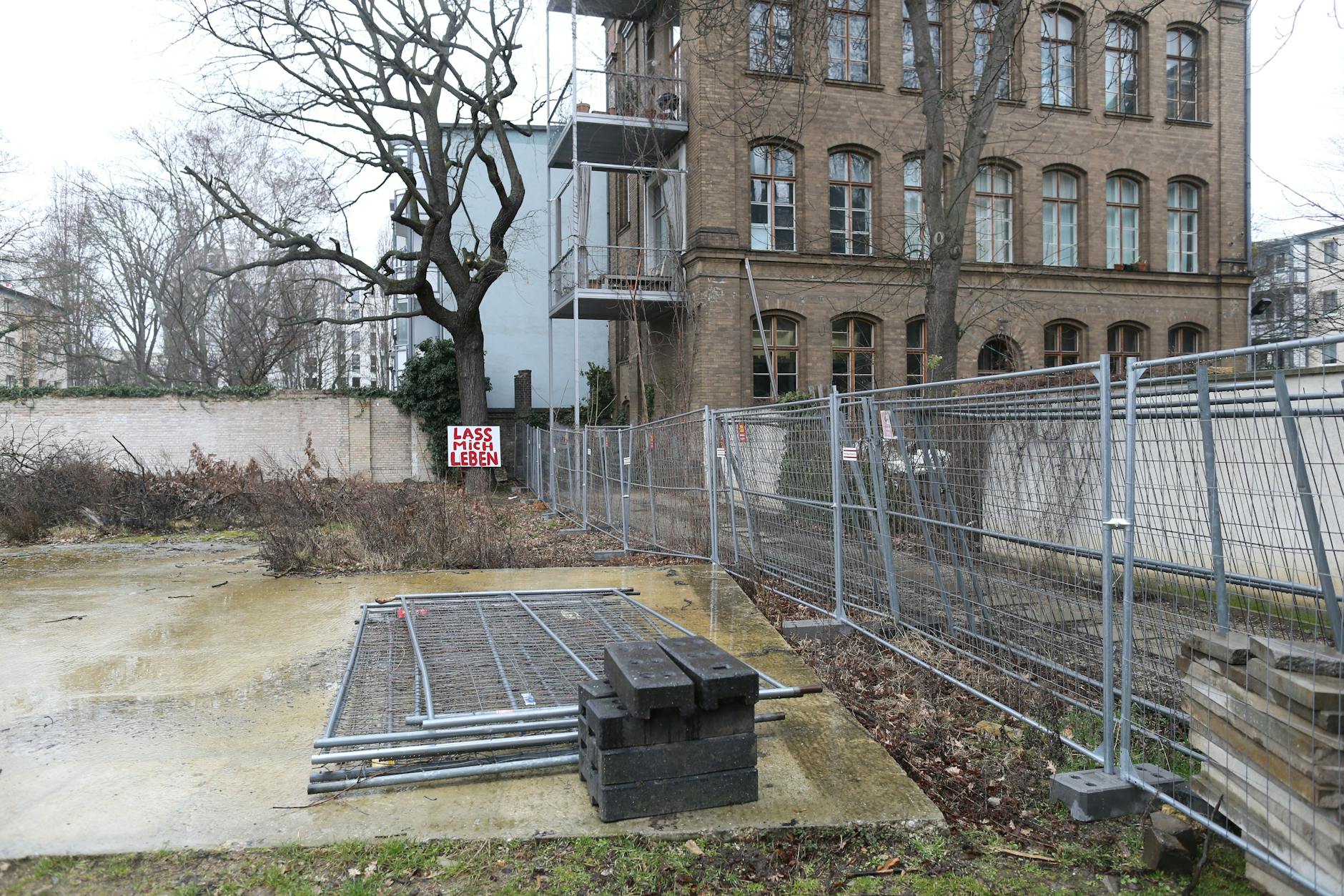 Die Eiche im Hof Dresdner Straße 113 gehört jetzt dem Investor und steht hinter einem Zaun. Gelände betreten oder Baum anfassen verboten.