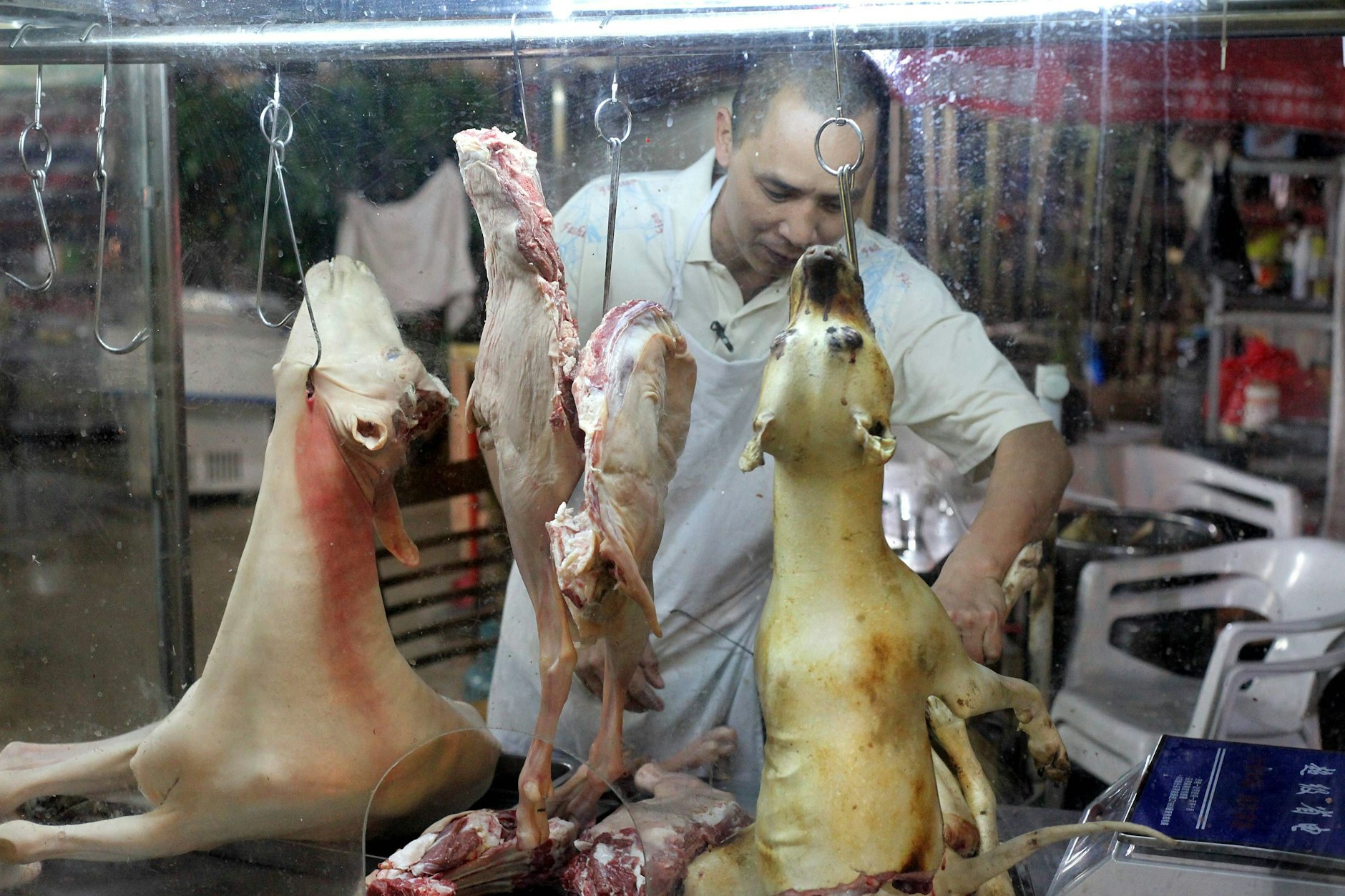 Ein Hunderestaurant in Shenzen, China vor zwölf Jahren: Die südchinesische Metropole hat die Praxis inzwischen verboten.