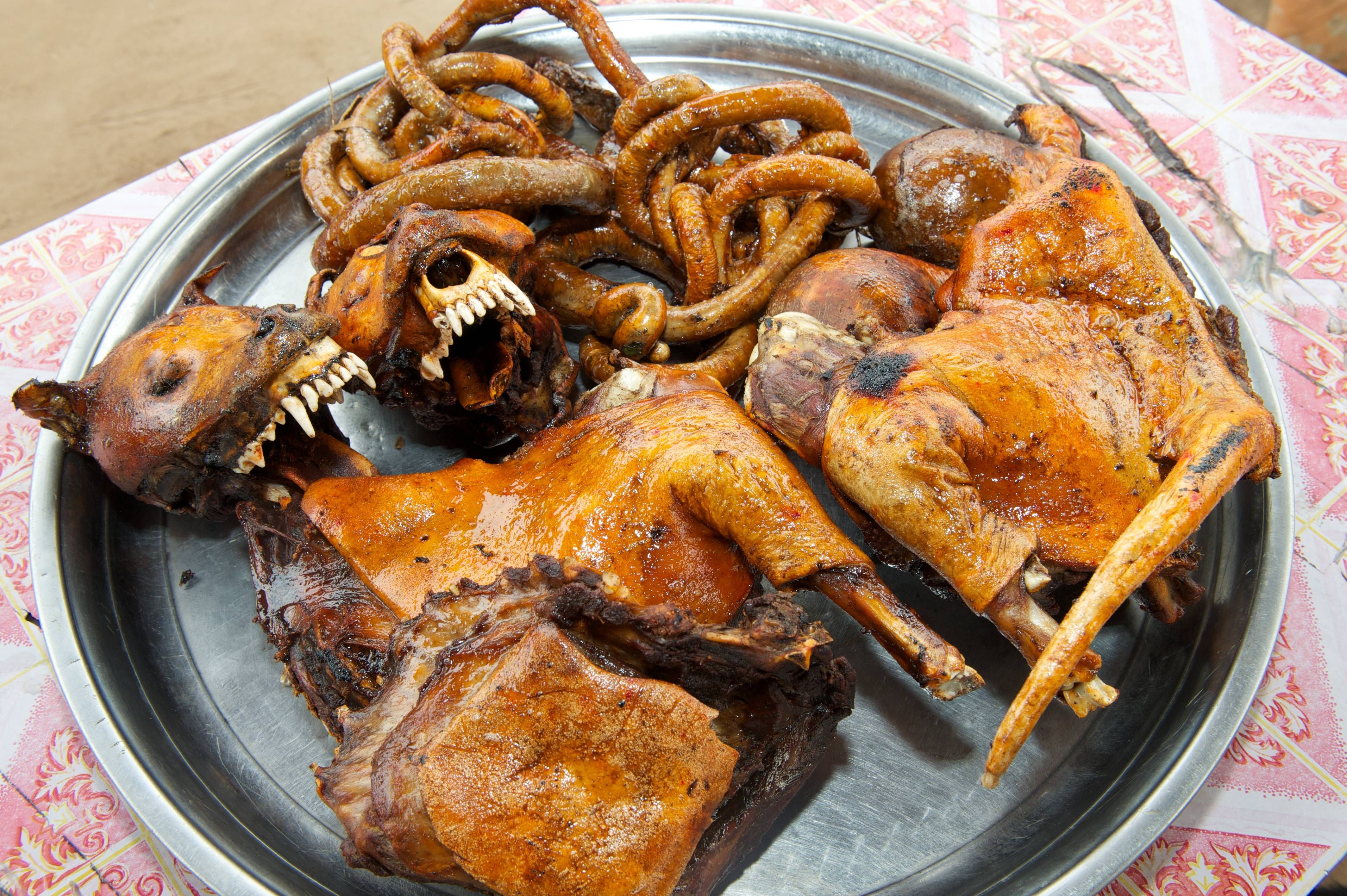 Image - DARUM essen Menschen jedes Jahr 30 Millionen Hunde: DIESE Initiative will die barbarische Tötungspraxis jetzt beenden!