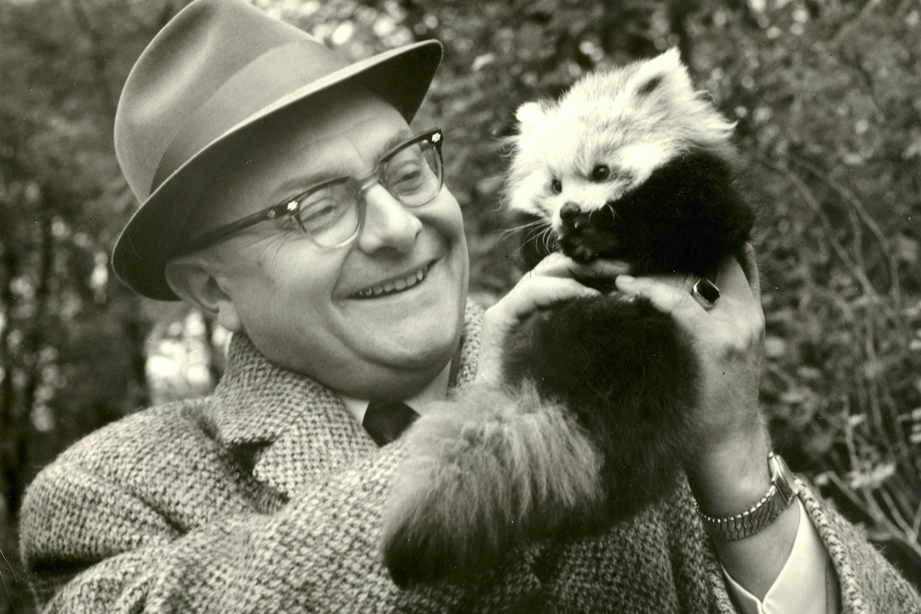 Prof. Heinrich Dathe (1910–1991) mit einem Kleinen Panda: Eigentlich müsste man den legendären Tierpark-Gründer im Osten Deutschlands kennen. 