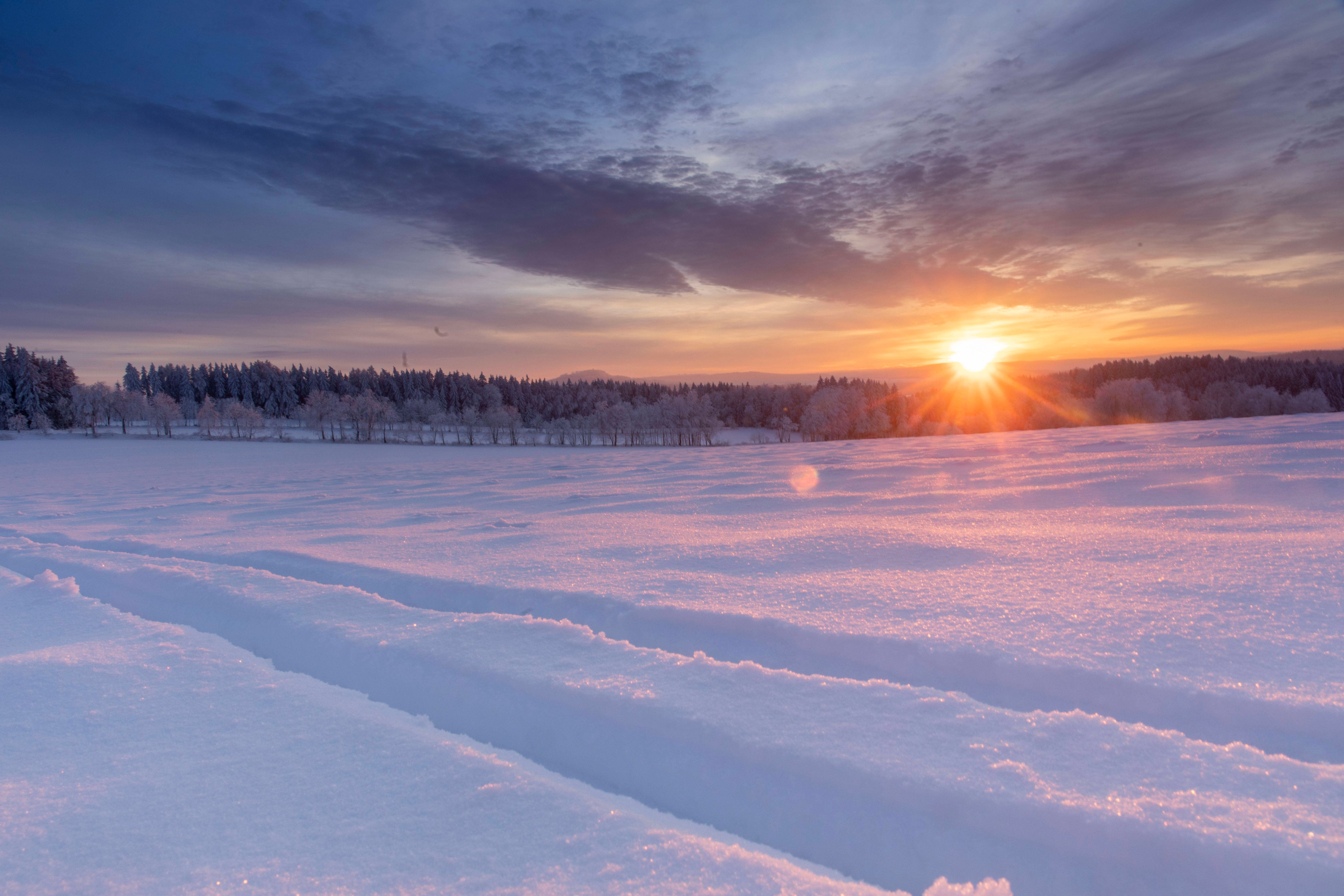 Image - 50 Zentimeter Neuschnee: Wetter schaltet den Winterturbo ein – wo es wann noch einmal weiß wird