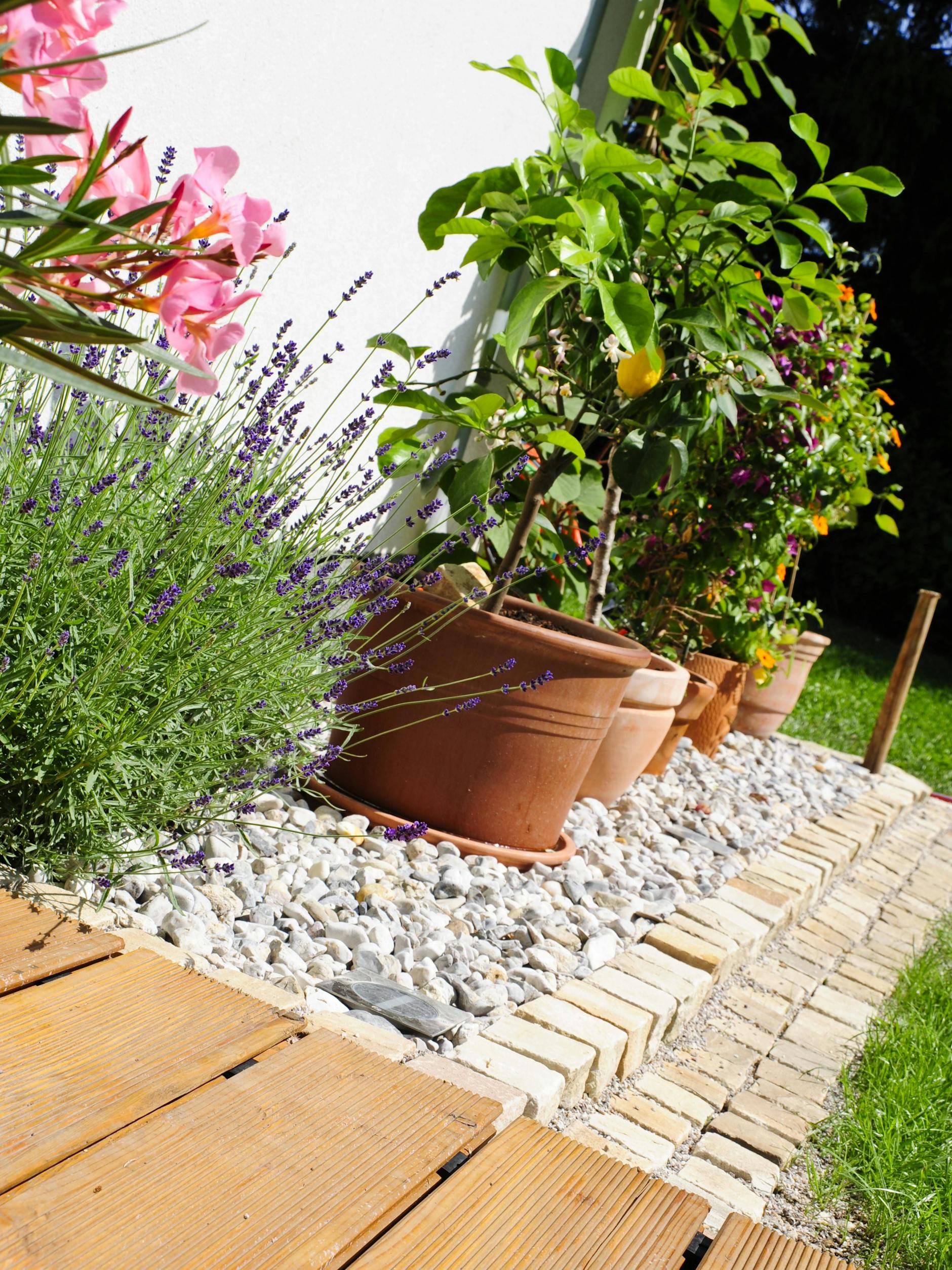 Erst wenn es sicher keinen Frost mehr gibt, dürfen die Kübelpflanzen wieder ganz nach draußen ziehen. 