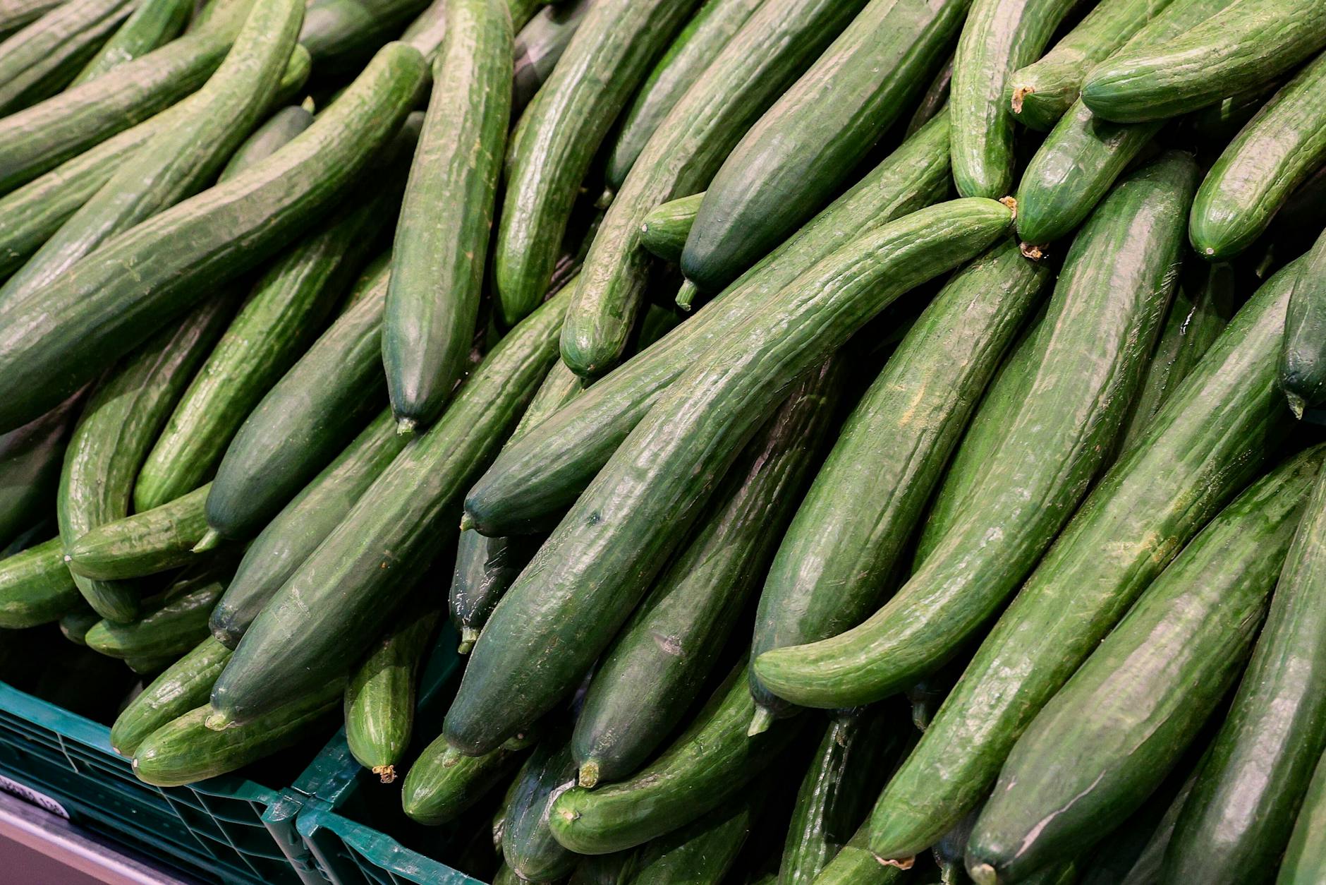 Gurken im Supermarkt.