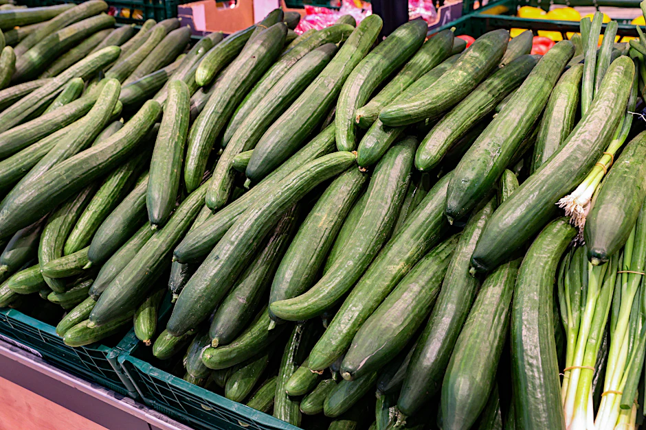 Gurken im Supermarkt.