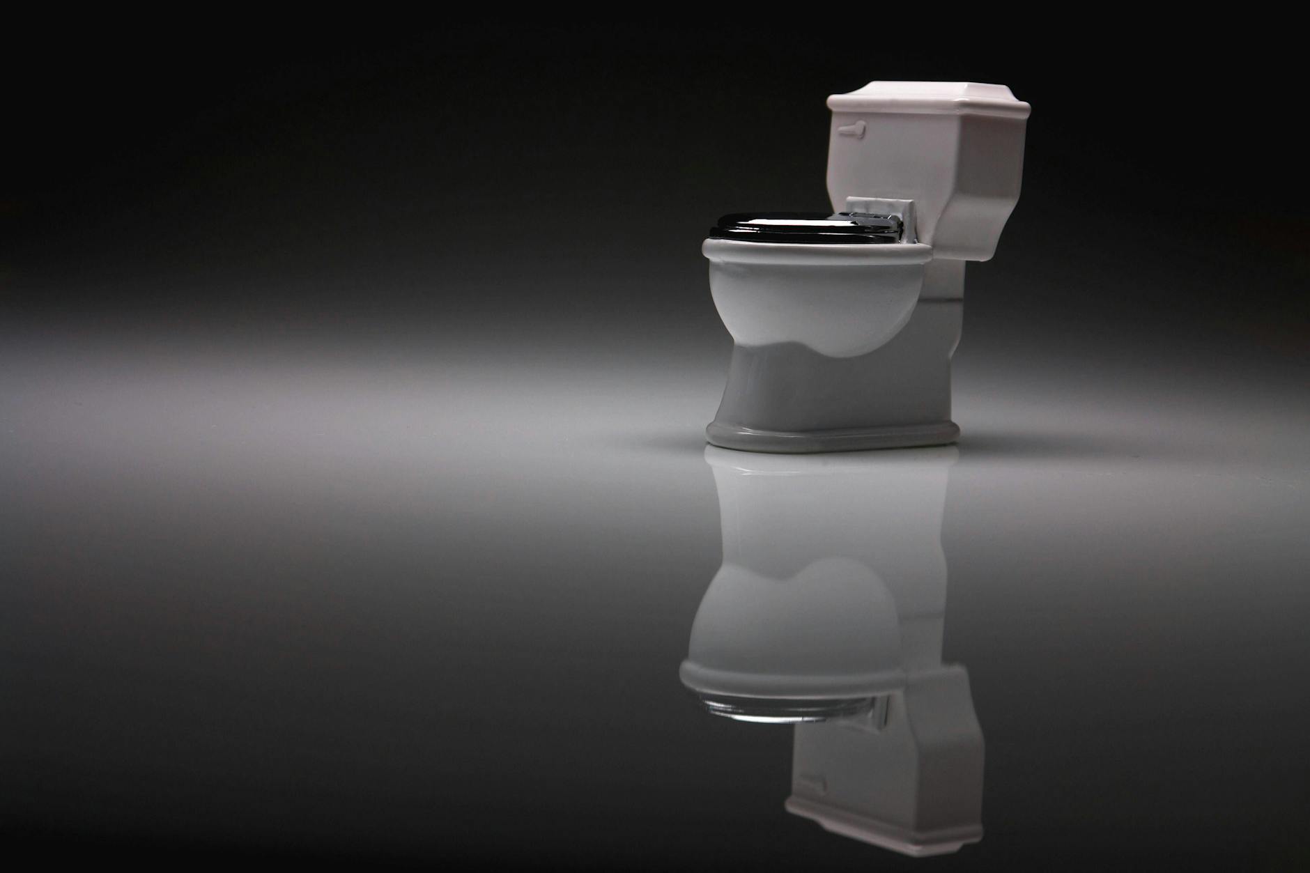 Die Sache ist sehr kompliziert, denn Toilettenbrille ist nicht gleich Toilettenbrille.