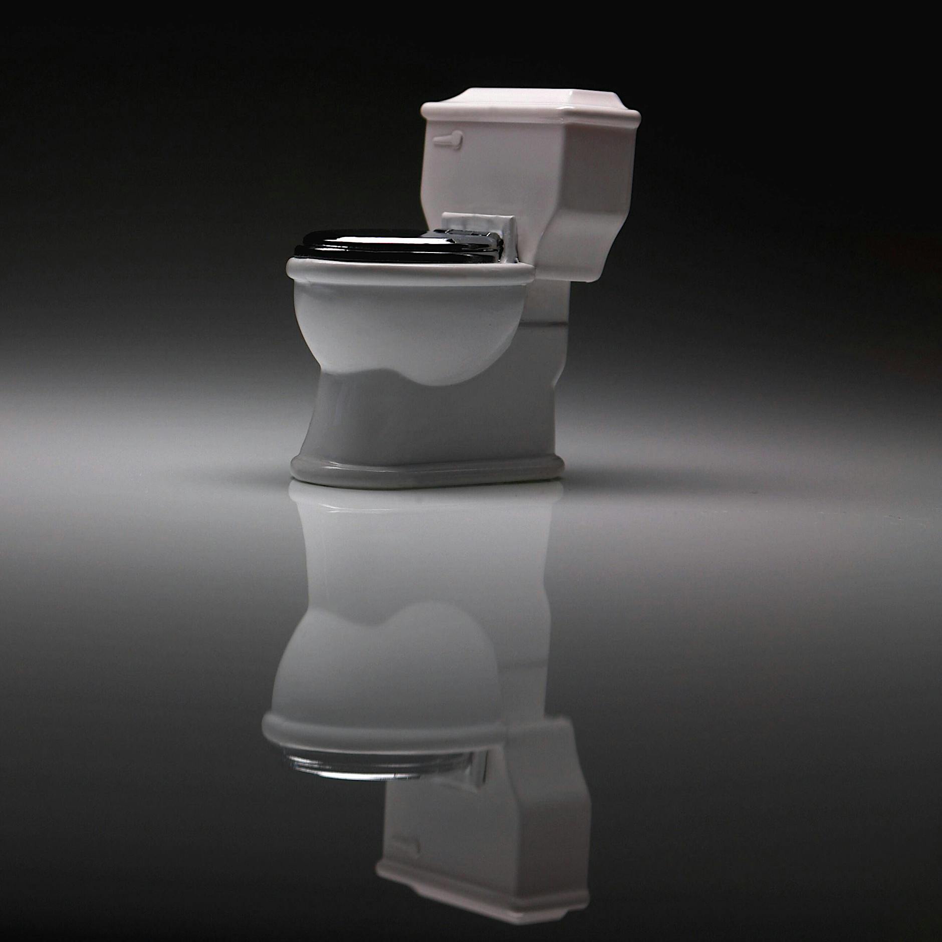 Olaf Scholz, eine Klobrille und die blonde Frau im Pool