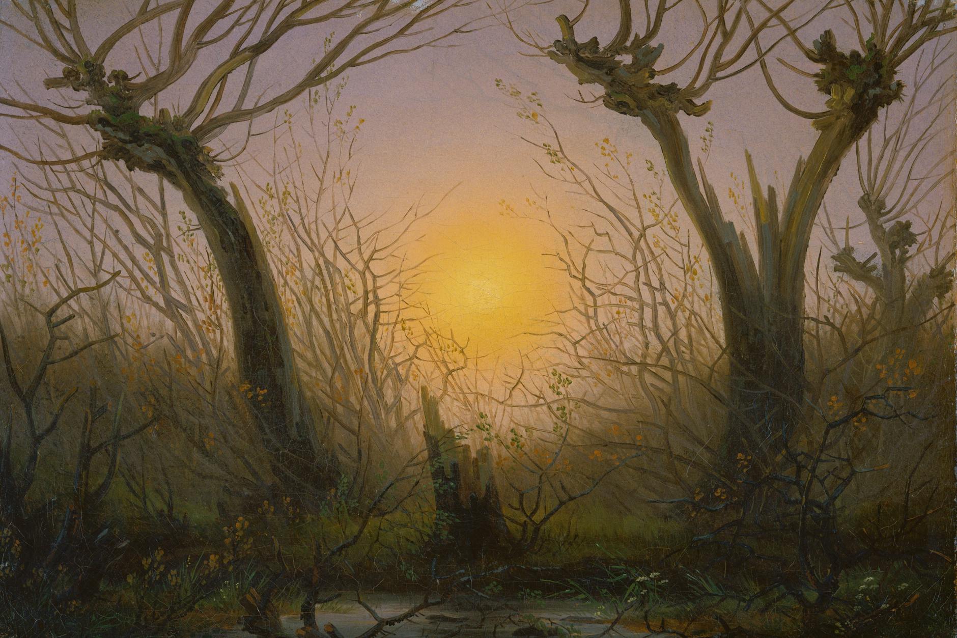  Caspar David Friedrich: „Weidengebüsch bei tiefstehender Sonne“, 1832/35