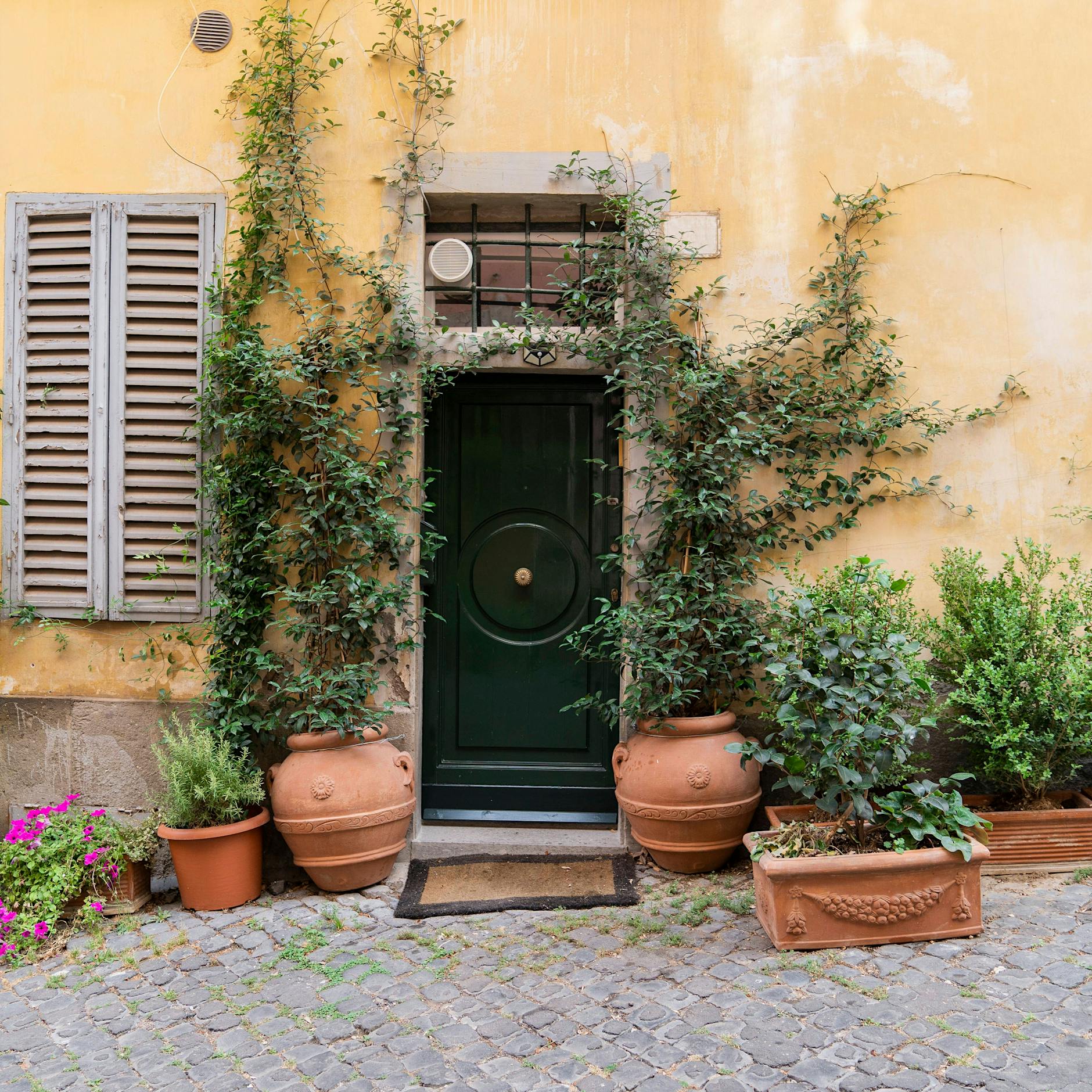 Dürfen Kübelpflanzen jetzt im März schon ins Freie? Welchen Schnitt brauchen die Pflanzen im Topf?
