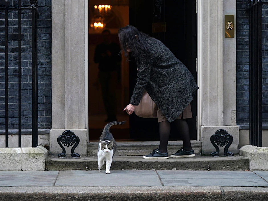 „Schwer, das nicht persönlich zu nehmen“, twittert Kater Larry aus der Downing Street über die Enthüllungen.