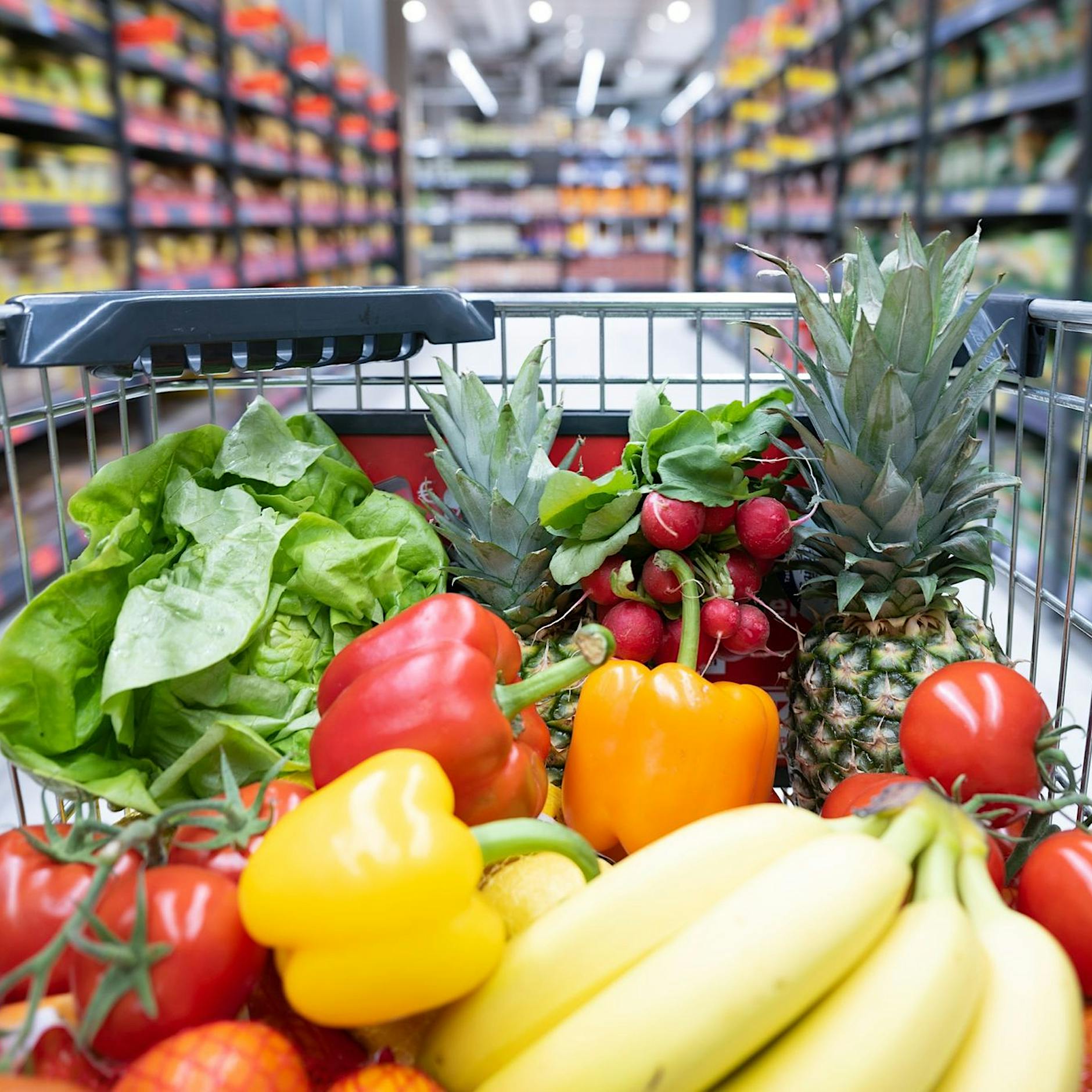 Gurke für 3,29 Euro? Fünf unbequeme Fragen zur Inflation 2023