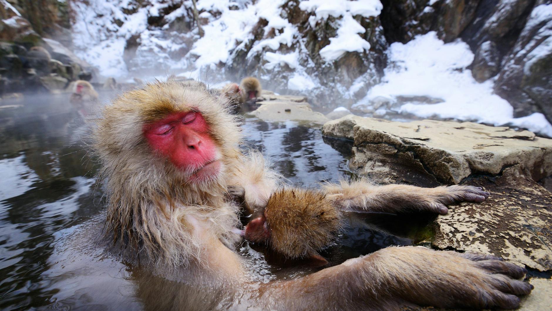 Das Wasser für japanische Bäder stammt meistens aus natürlichen heißen Quellen, die Onsen genannt werden.