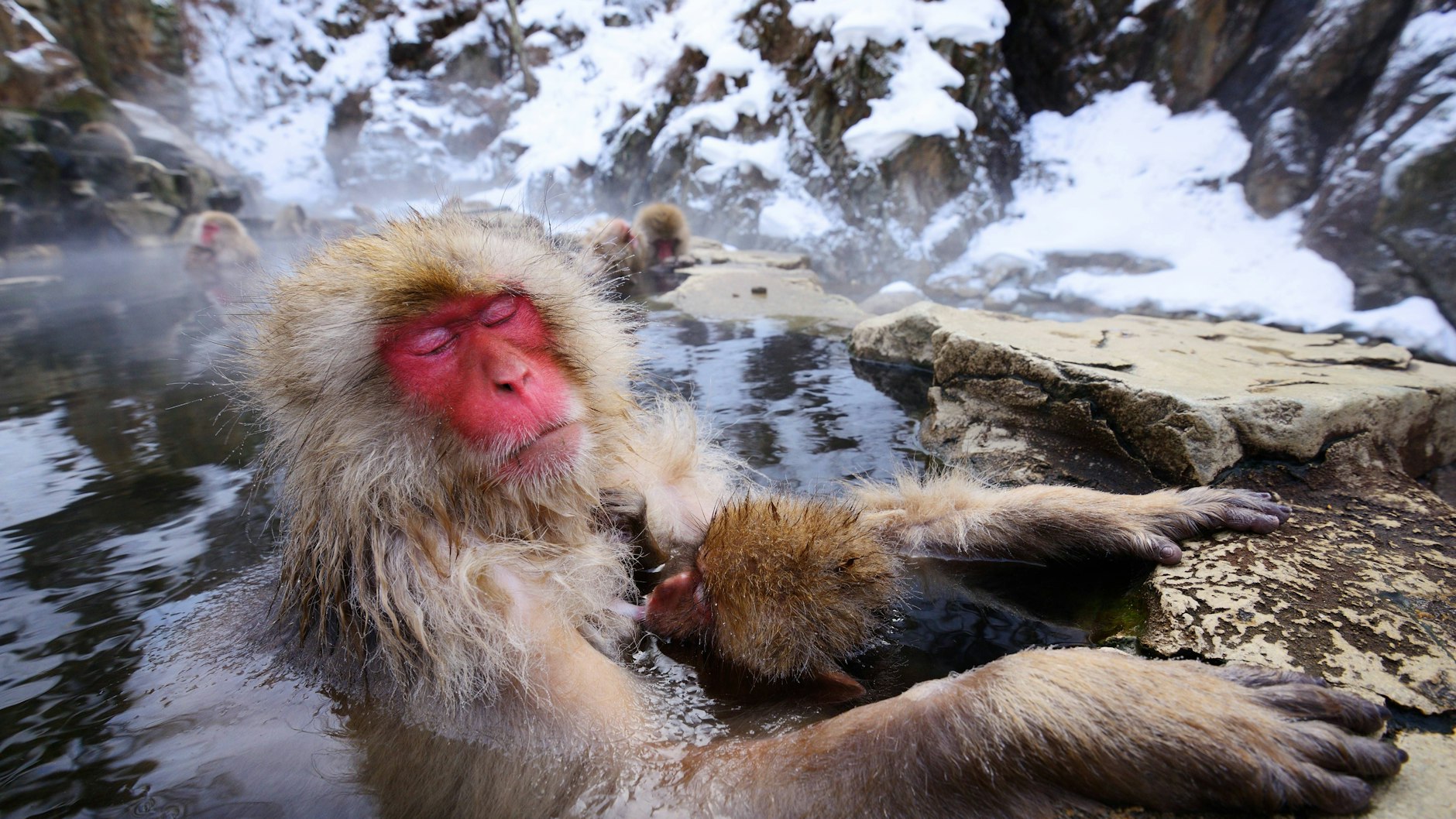 Das Wasser für japanische Bäder stammt meistens aus natürlichen heißen Quellen, die Onsen genannt werden.