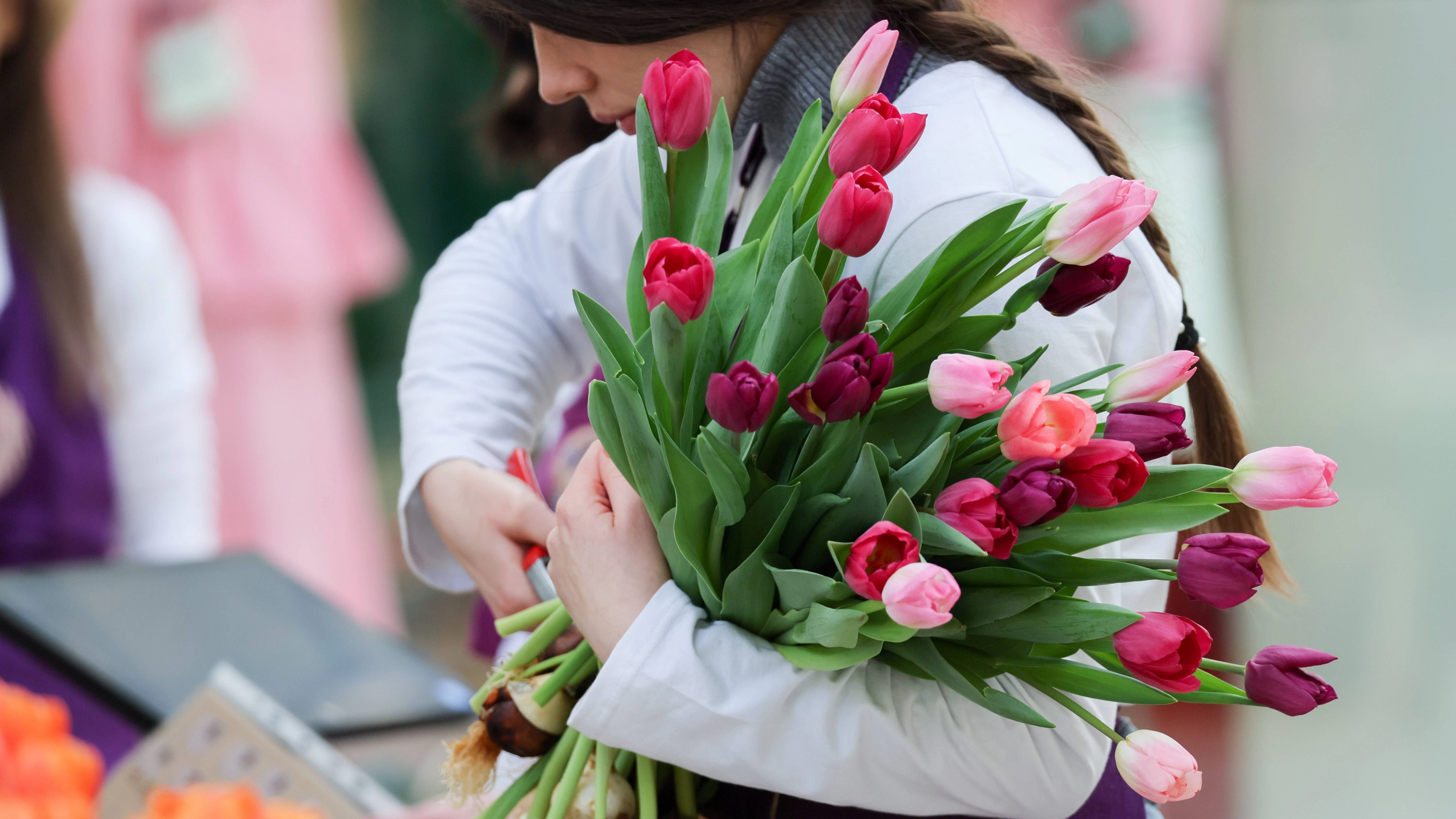 Beim Kauf von Tulpen für die Vase sollte man auf das typische Quietschen achten.