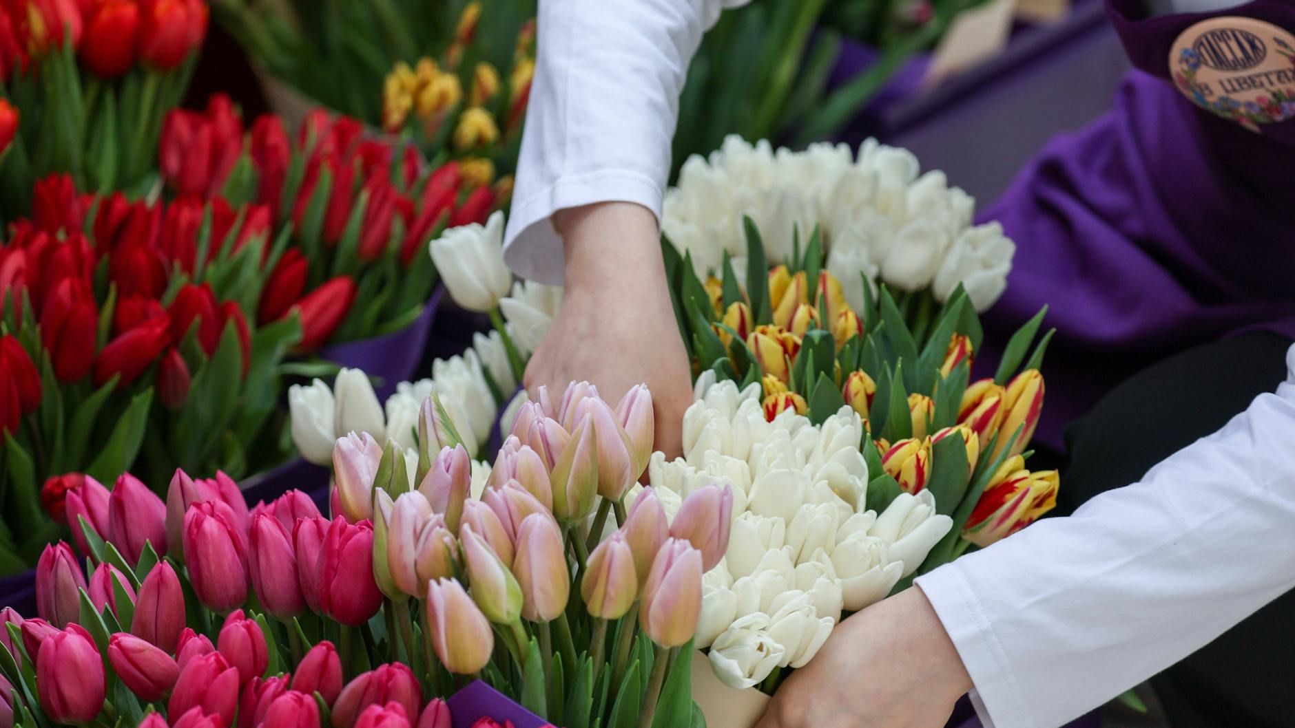 Tulpen in der Vase halten bei guter Pflege bis zu zehn Tage.