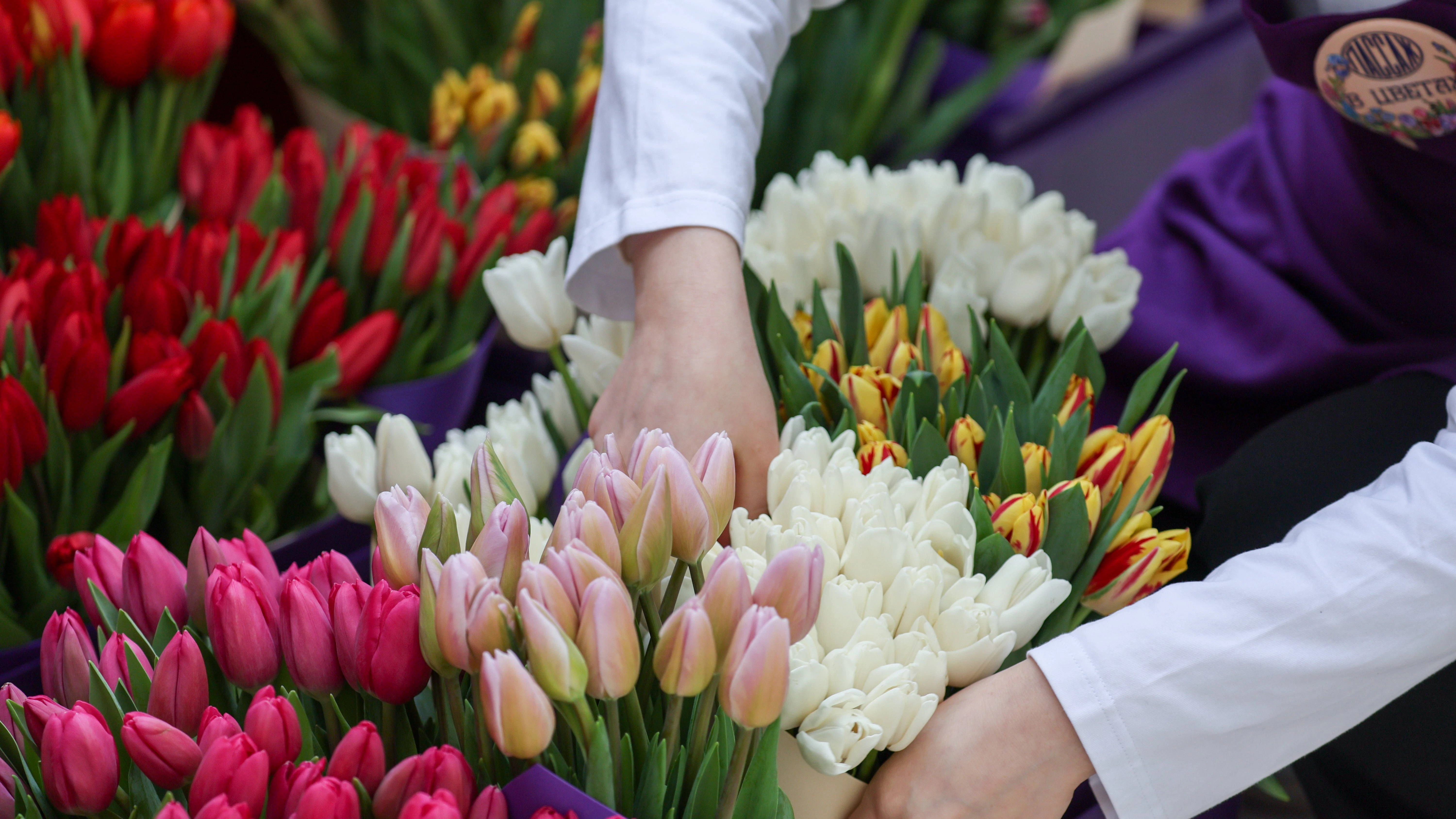 Tulpen in der Vase halten bei guter Pflege bis zu zehn Tage.