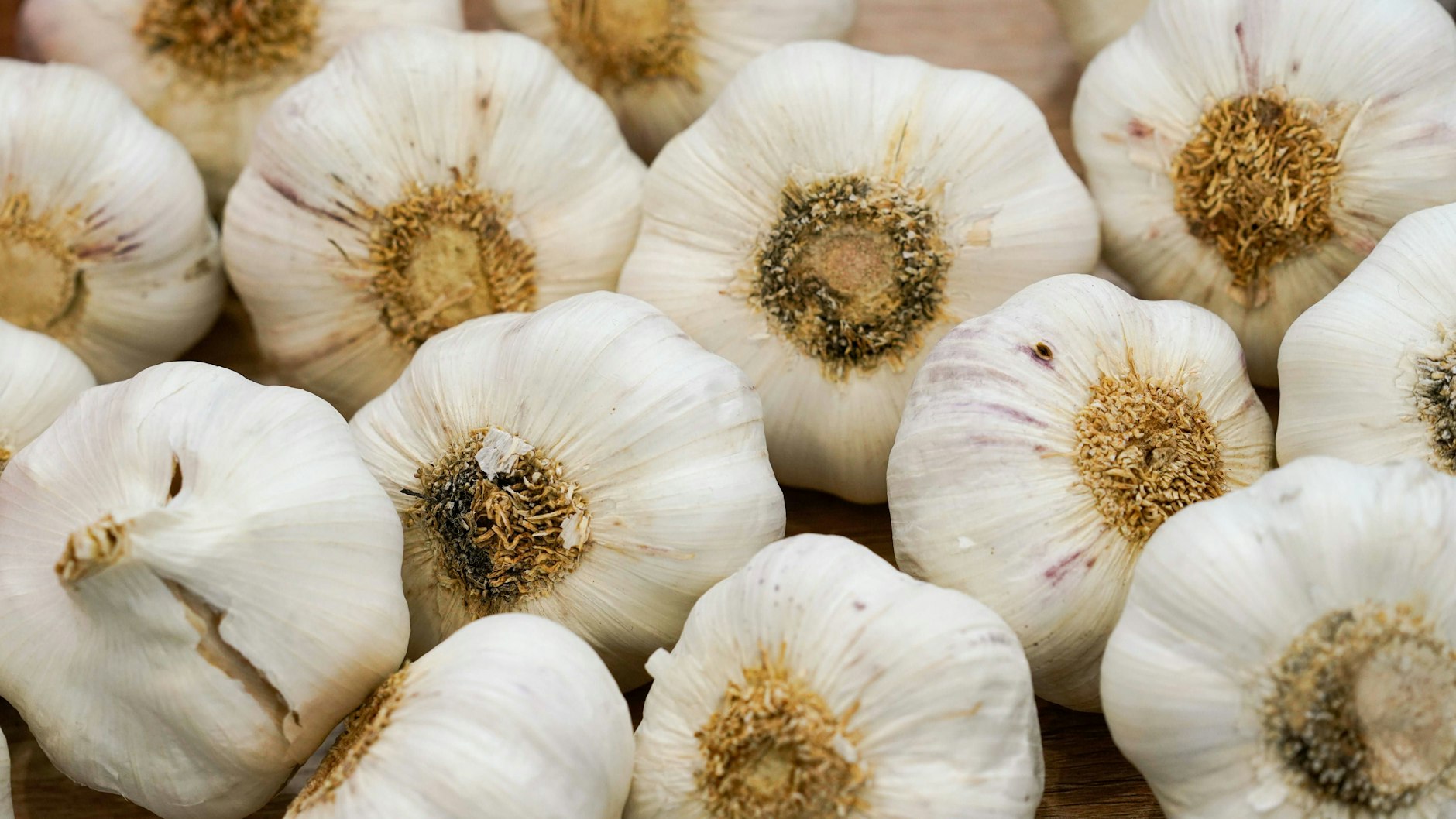 Knoblauch ist gesund und in dem Rezept für Cevapcici unabdingbar.