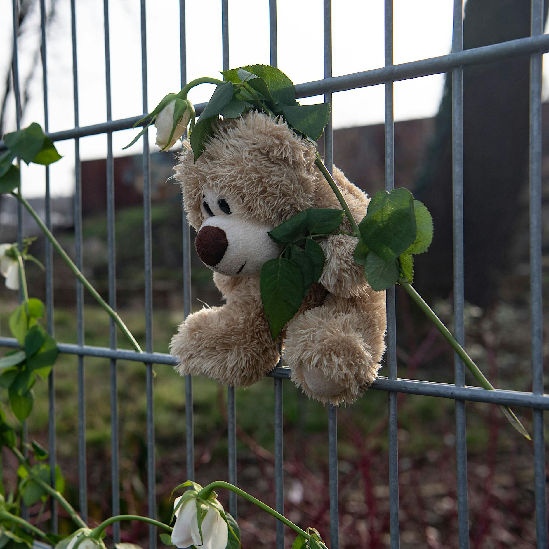 Tod der fünfjährigen Anissa in Berlin: Gefundenes Messer ist Tatwaffe