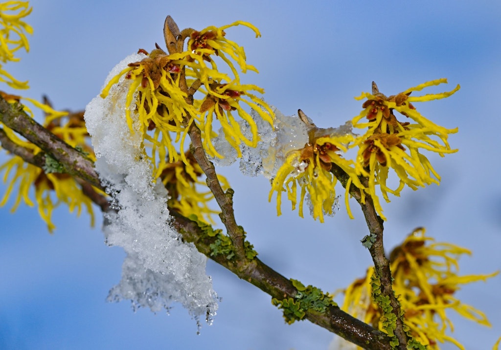 Wechselhaftes Wetter erwartet teils Schnee möglich