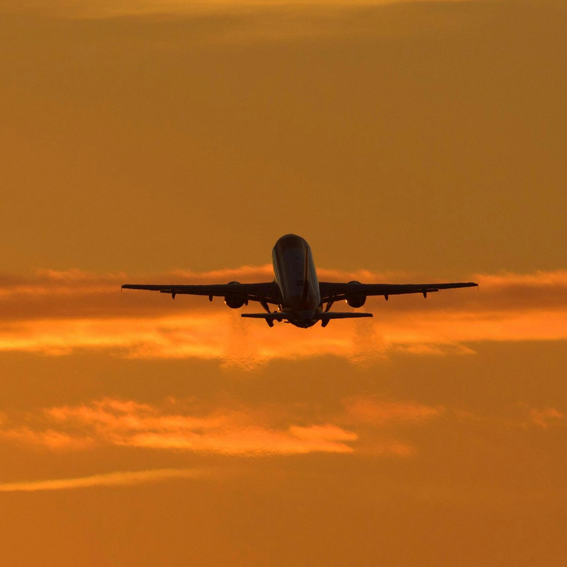 Reisemesse ITB: Branche optimistisch