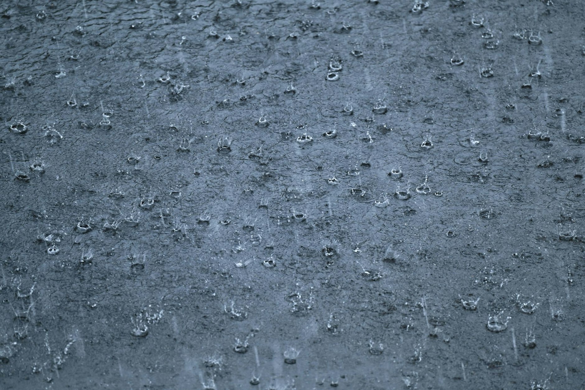 Starkregen prasselt während eines Gewitters auf eine Straße. Vor allem im Süden Deutschlands wird dieses Wetter in den kommenden Tagen vorherrschen.