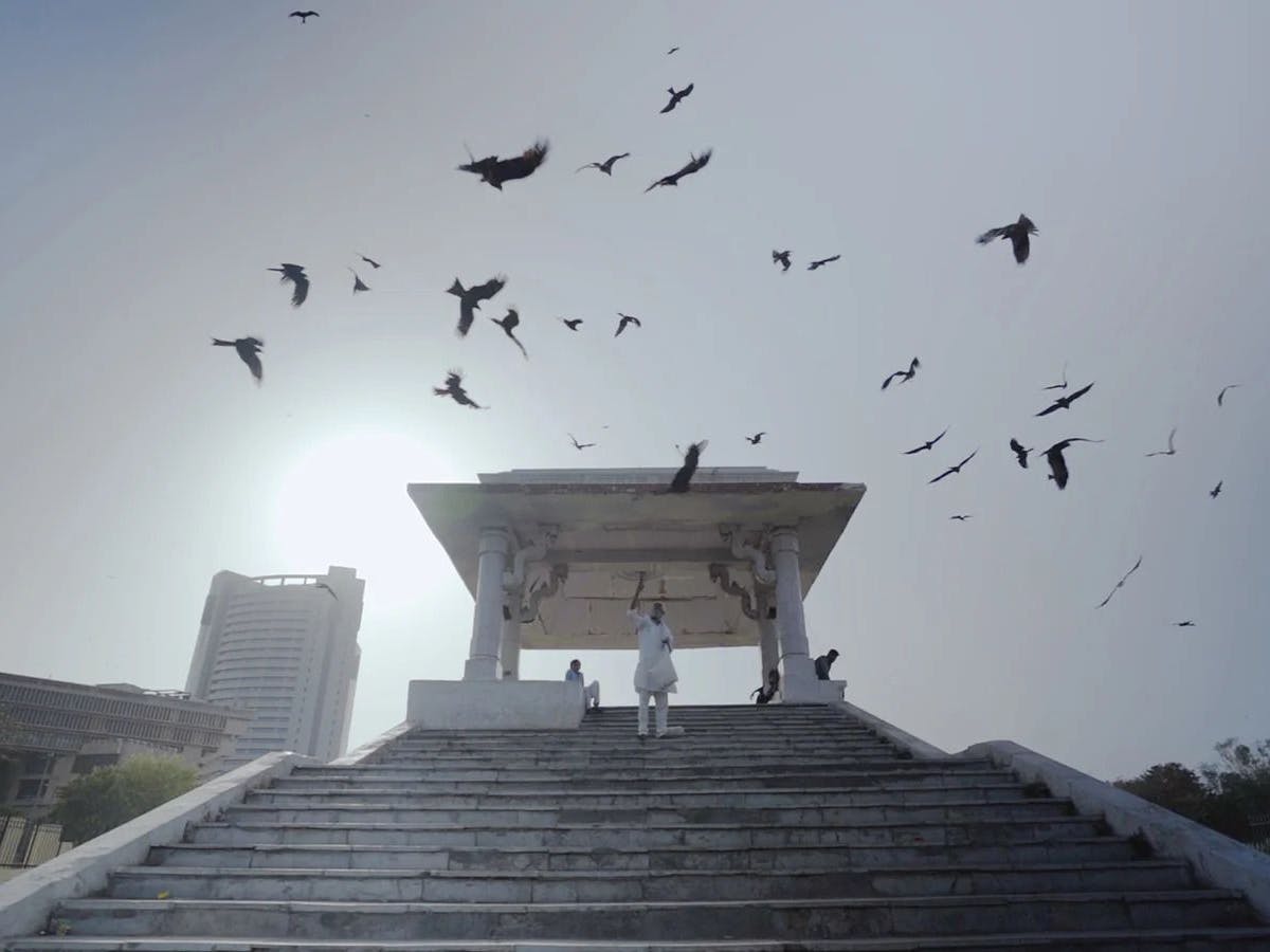 Shaunak Sen, Aman Mann, Teddy Leifer sind mit „All That Breathes“ für den Dokumentations-Oscar nominiert. Der Film dokumentiert das Engagement zweier Brüder, die sich in Neu-Delhi der Rettung der Schwarzmilane widmen, und zeigt zugleich die religionsbegründete Diskriminierung, der die beiden ausgesetzt sind.