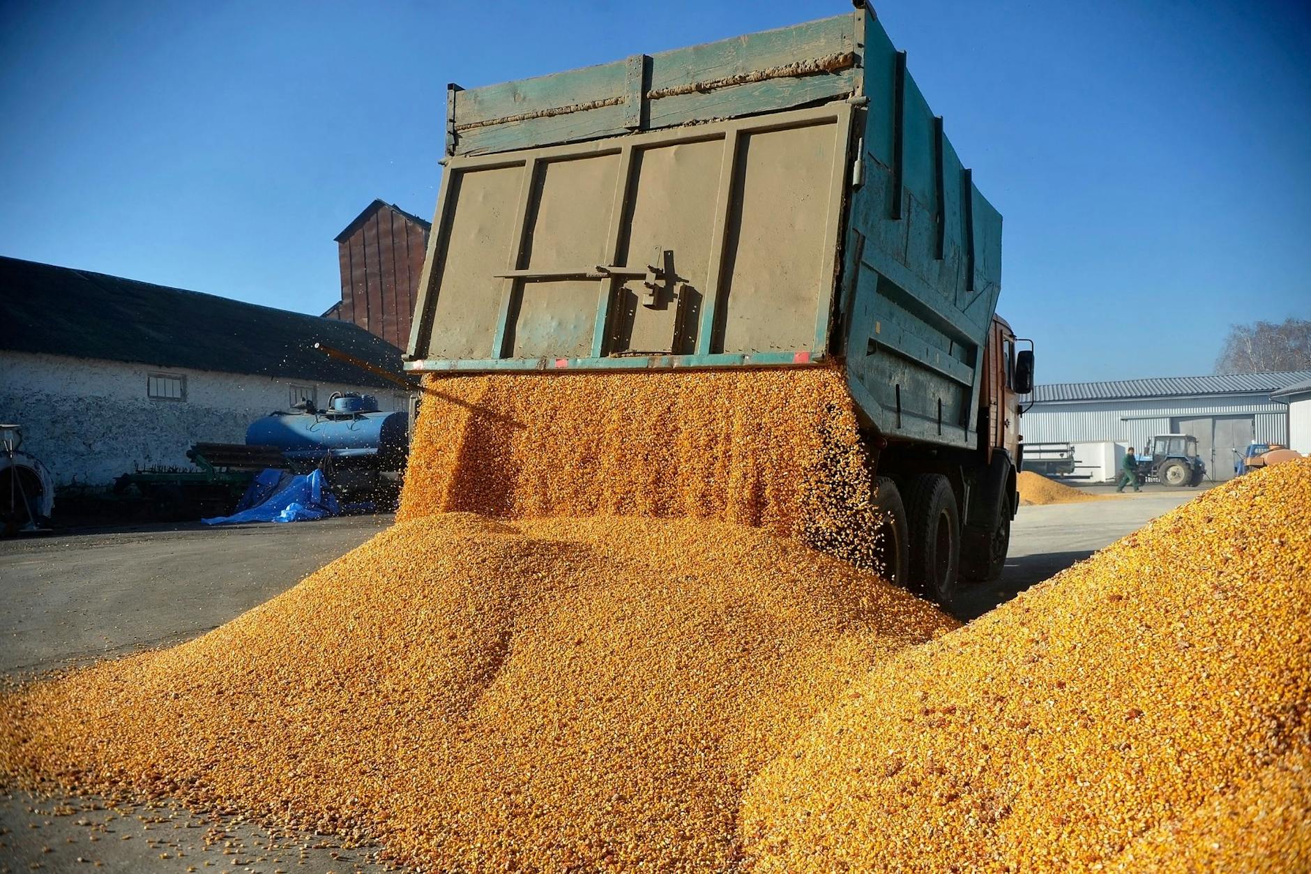 Das Getreideabkommen sichert Nahrung für viele Länder. 