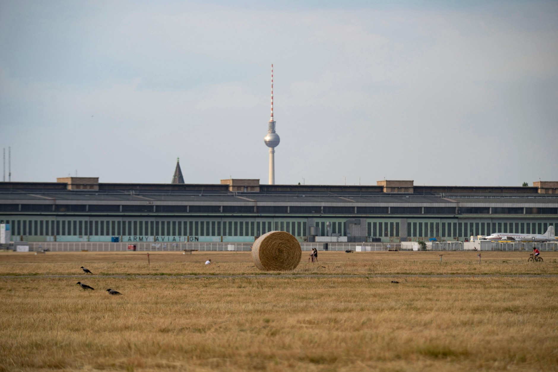 Nur einmal im Jahr mähen: Die Pflege des Tempelhofer Feldes wird mit der Obersten Naturschutzbehörde des Landes Berlin abgestimmt.