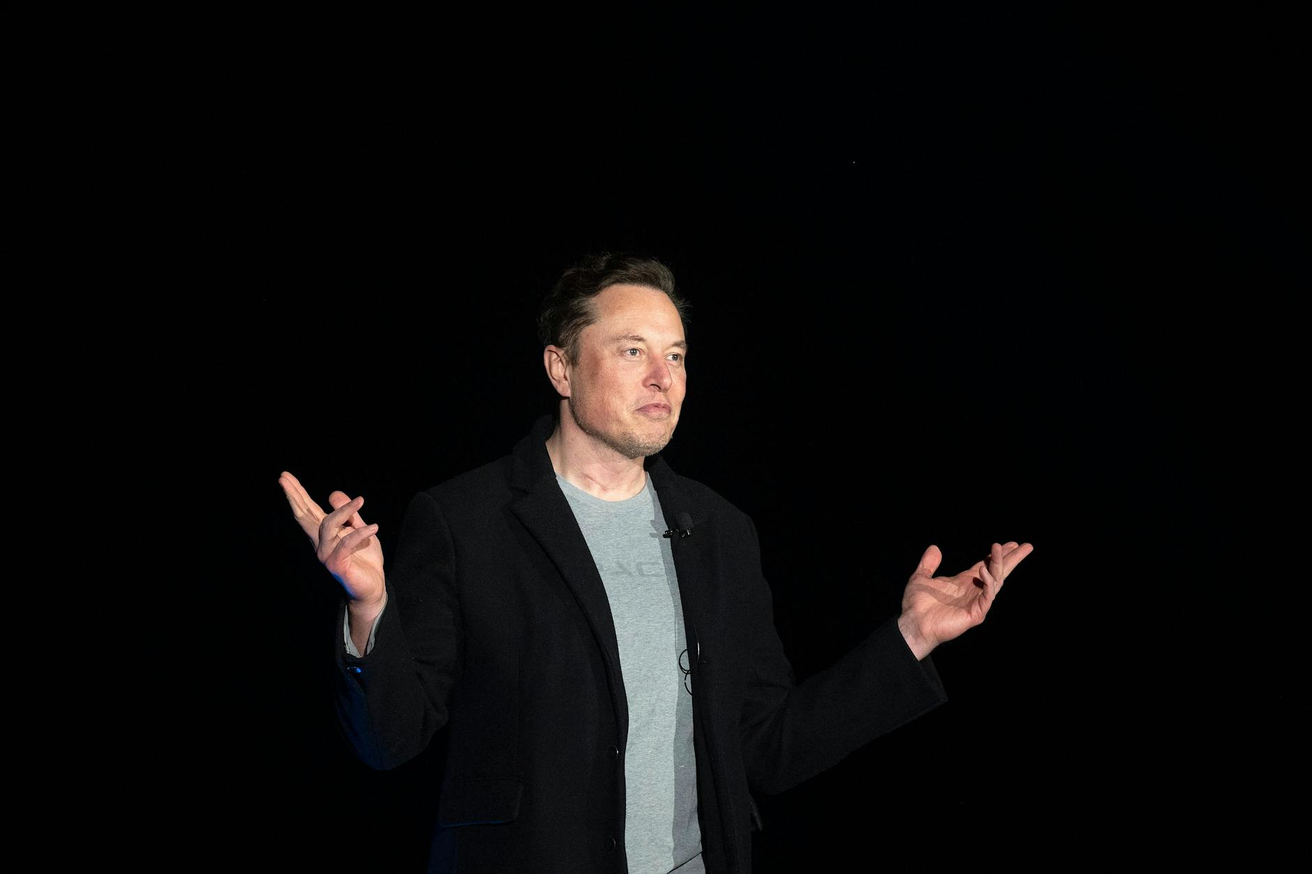 Elon Musk, ein moderner Mann. Was würde er zu veganen Schnitzeln sagen?