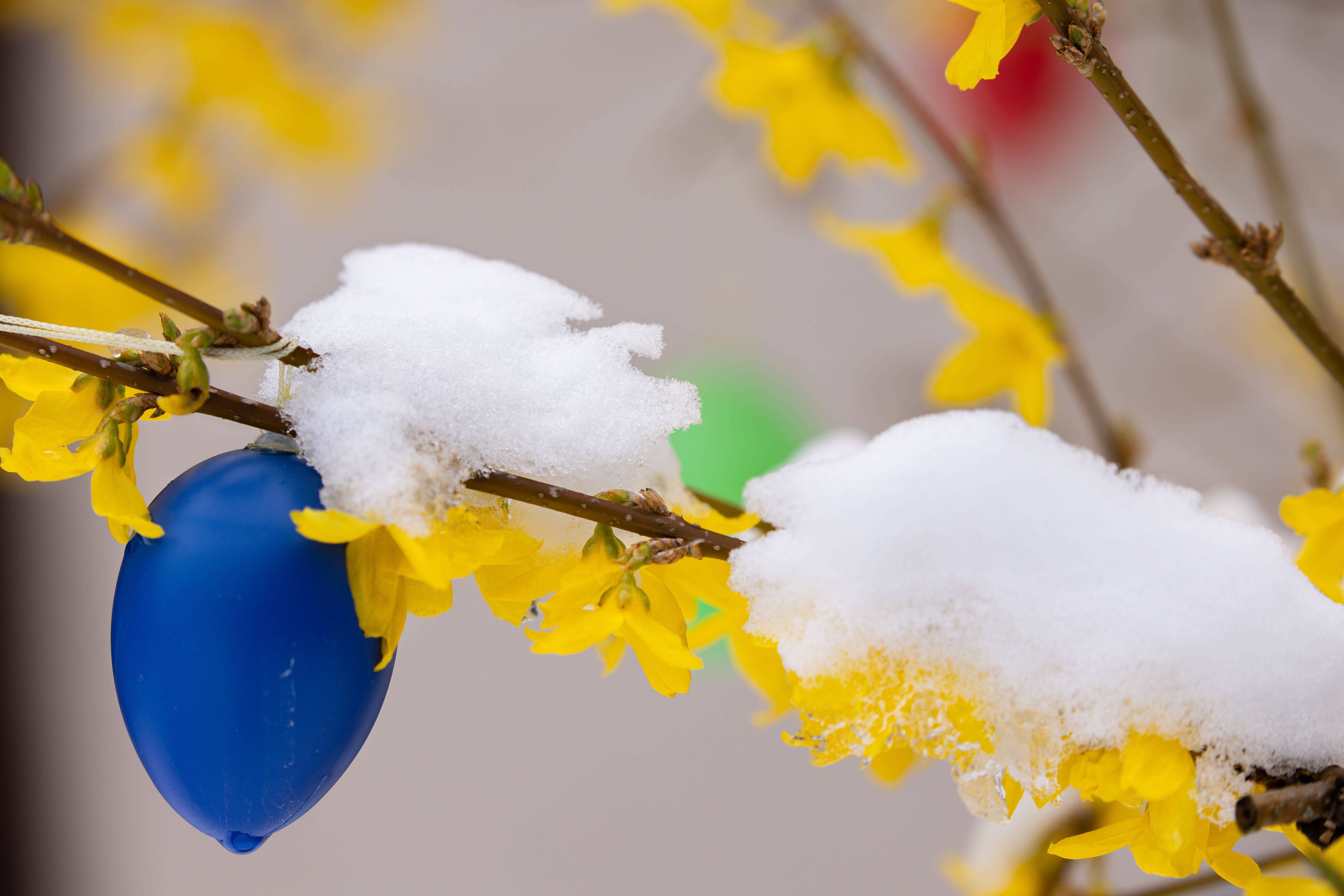 Schnee an Ostern! Das Wetter treibt es bunt: Ab Donnerstag überall wärmer – aber dann …