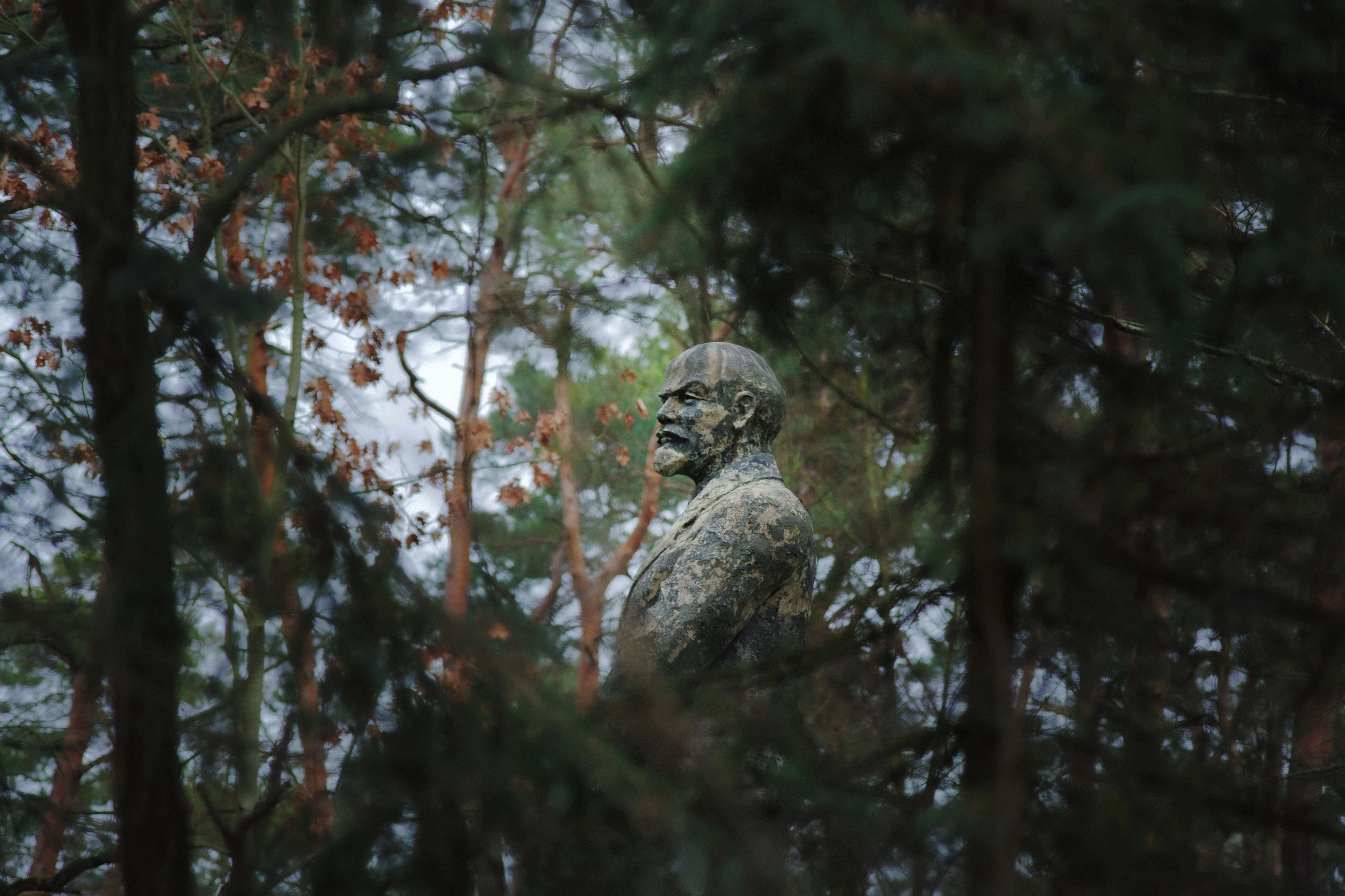 &nbsp;Eine Leninstatue in Wünsdorf versteckt sich zwischen Dutzenden Ästen.