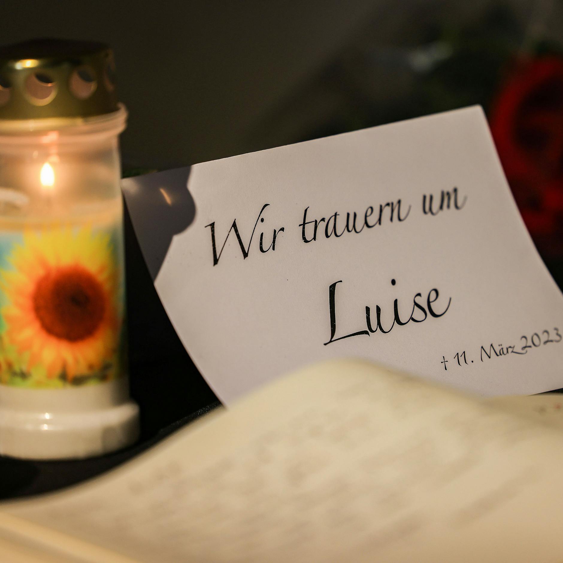 Image - Kriminologe zum Fall Luise: „Was sollte man mit unter 14-Jährigen im Strafvollzug anfangen?“