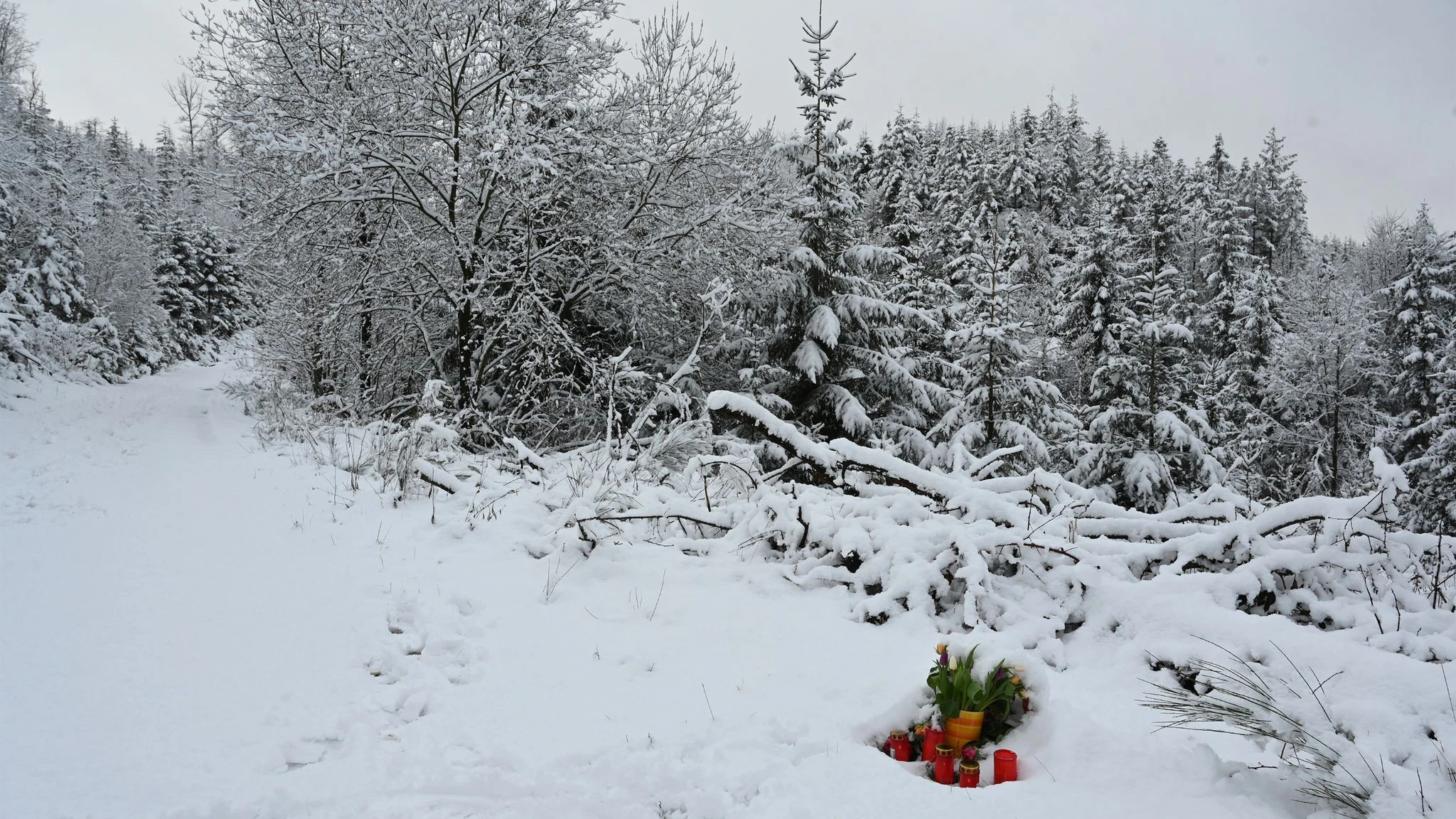 Hier in Freudenberg wurde vor vier Monaten die 12-jährige Luise gefunden - ermordet von zwei 12- und 13-jährige Mädchen.