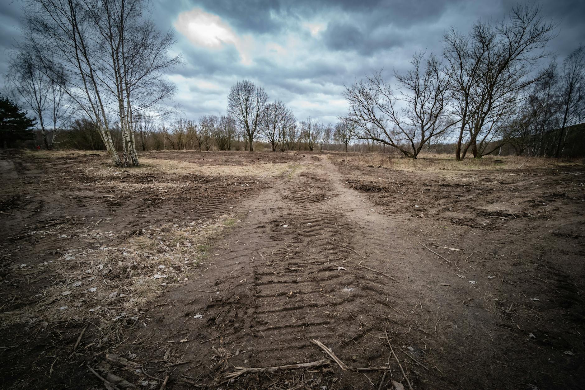 Mit schwerem Gerät haben die Eigentümer in Arkenberge ein Gebiet von 500 mal 100 Meter gerodet. Nur: Auch wenn es Privatgelände ist – es hätte eine Genehmigung gebraucht.