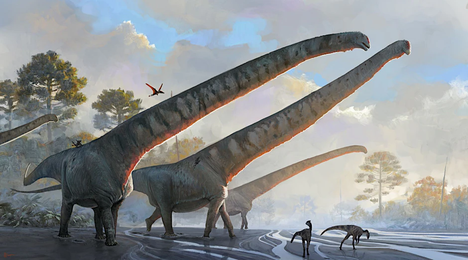 HANDOUT - Halslänge von mehr als 15 Metern: Die Illustration des Natural History Museums zeigt Vertreter der Art Mamenchisaurus sinocanadorums.  /Natural History Museum via PA Media/dpa