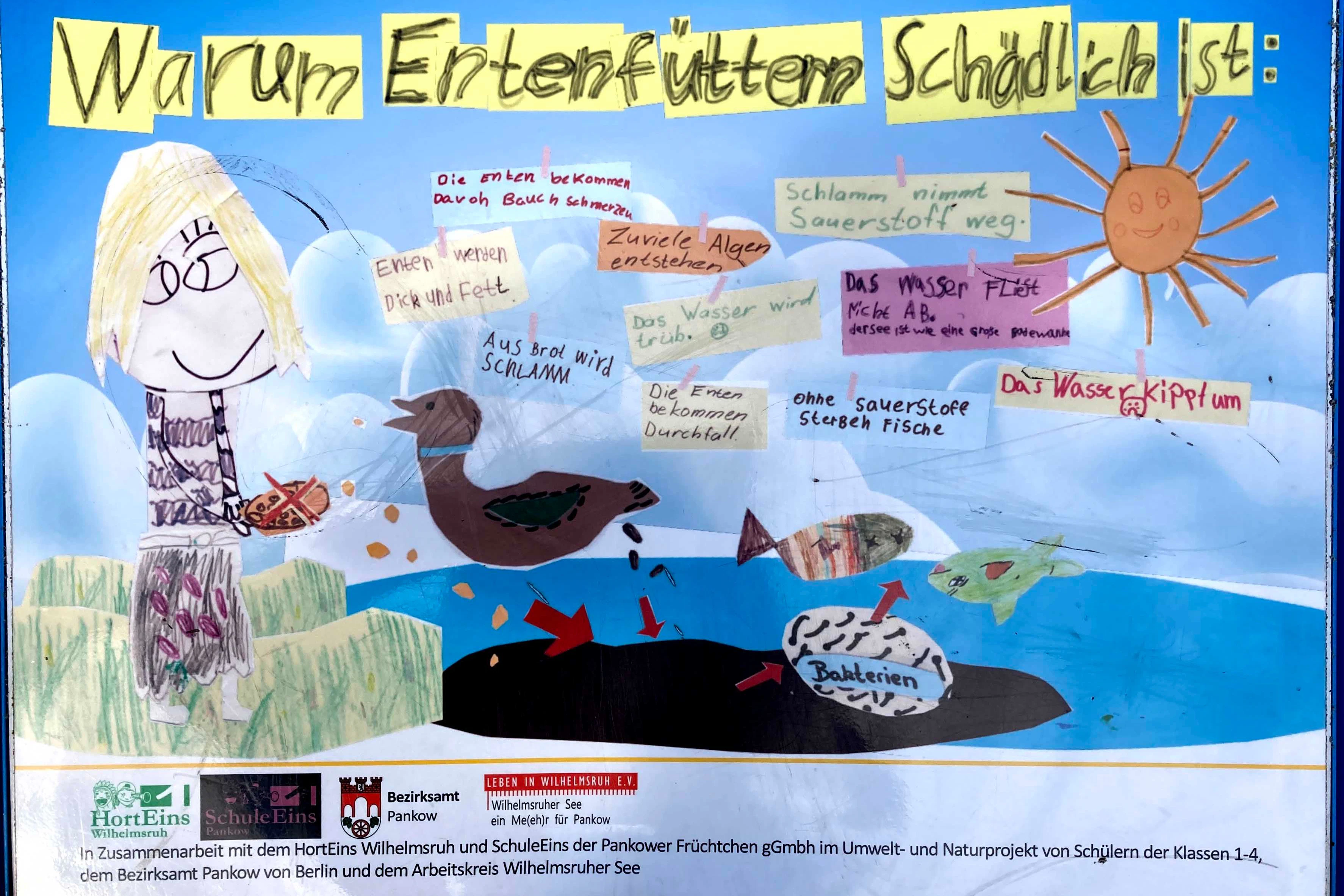 Ein Schild am Kiessee von Arkenberge. Nur: Allzu viele Enten gibt es nicht mehr. Andere Arten sind komplett verschwunden.