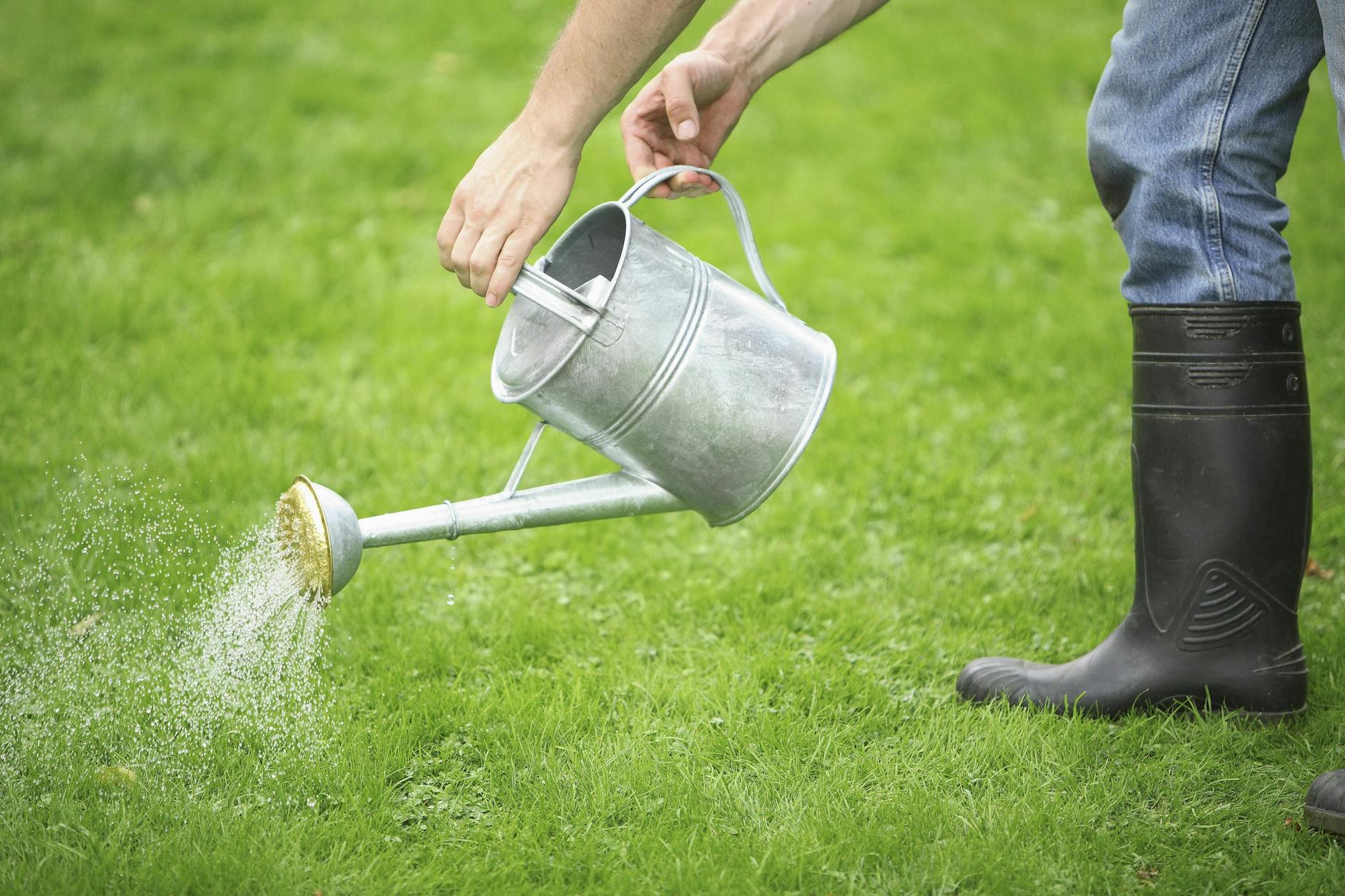 Damit der Rasen schön grün und saftig wird, braucht er im Frühling die richtige Pflege.