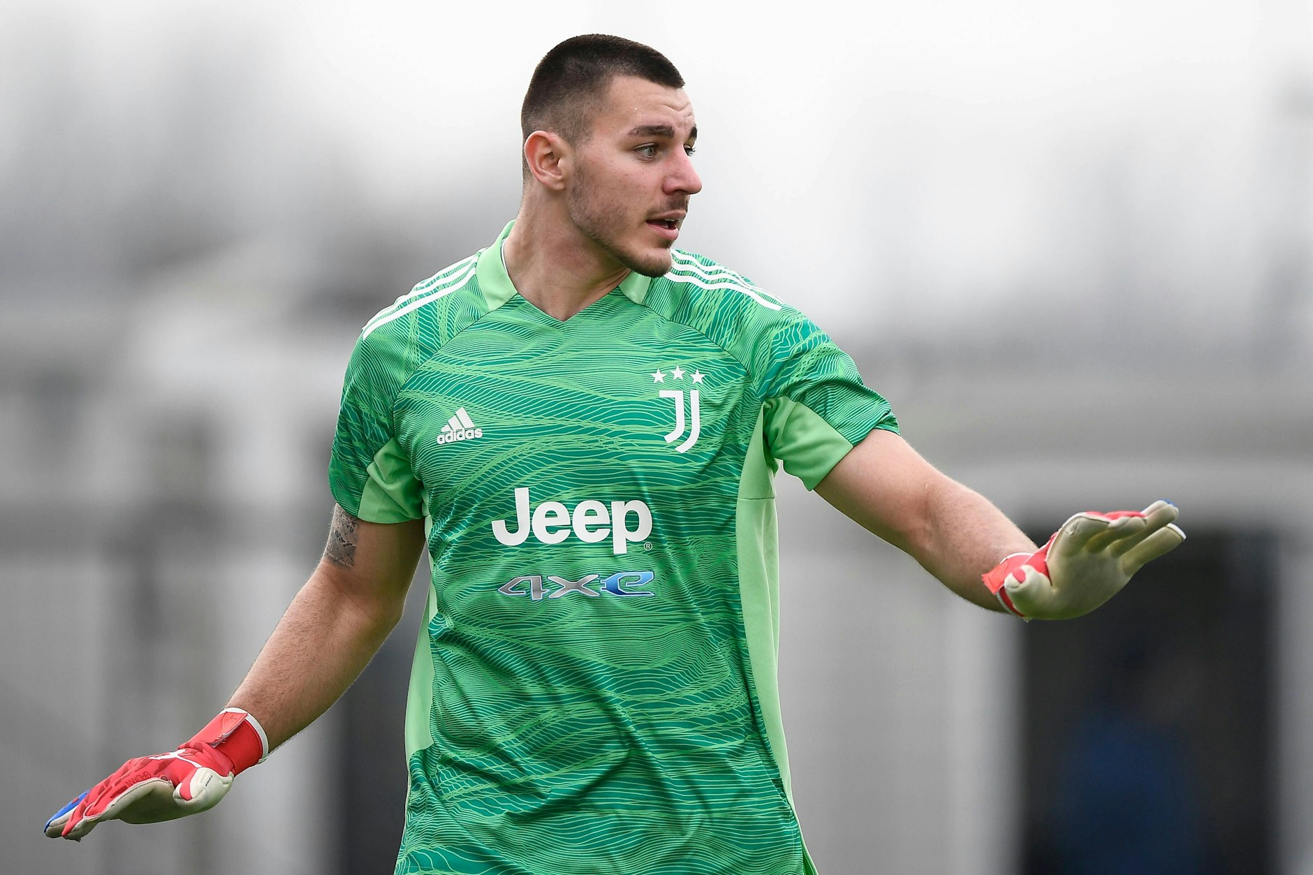 Zsombor Senkó wurde bei Juventus Turin ausgebildet. Inzwischen spielt er wieder in Ungarn. 