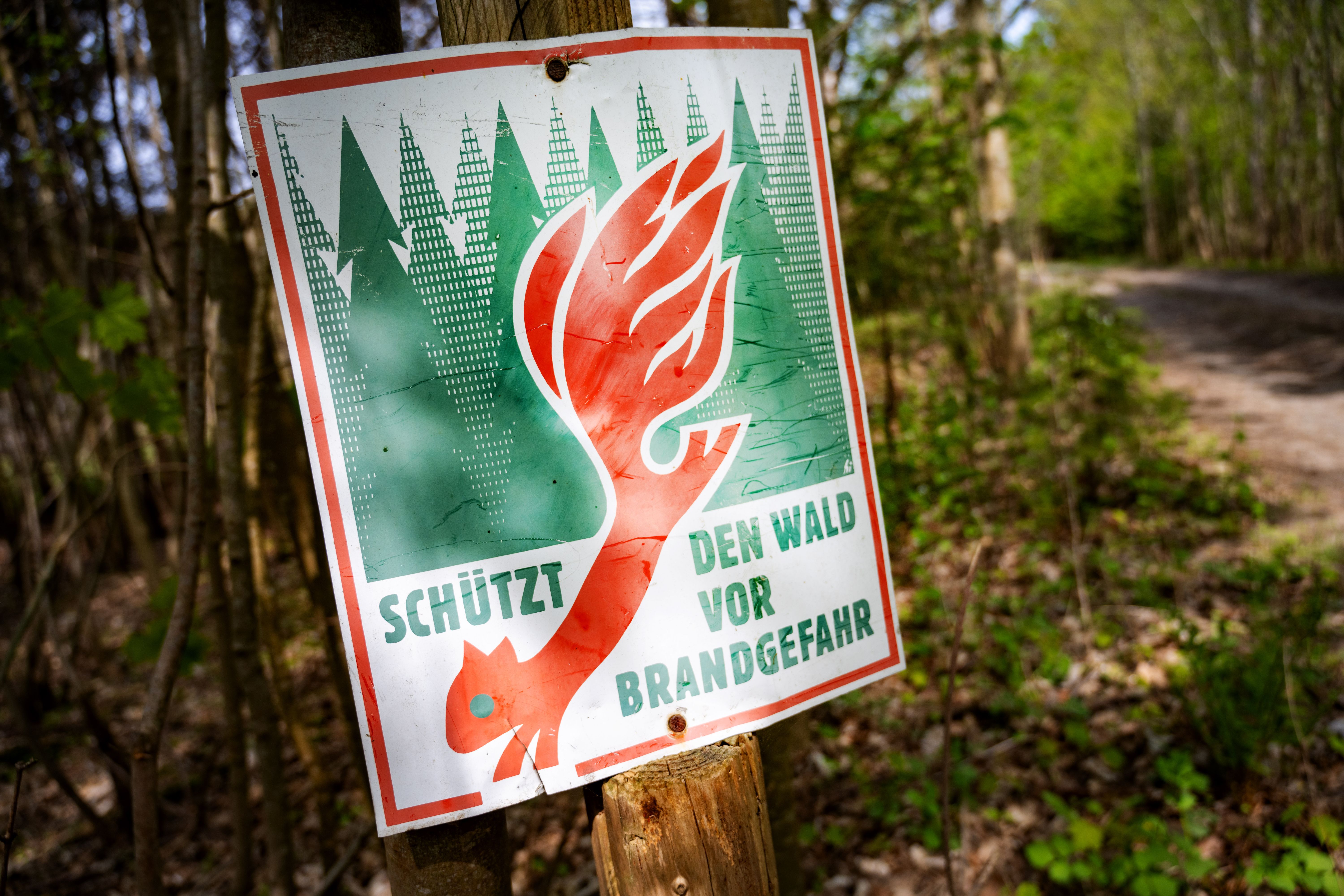 Südlich von Berlin: Erster größerer Waldbrand der Saison ausgebrochen! Was kommt da auf uns zu?