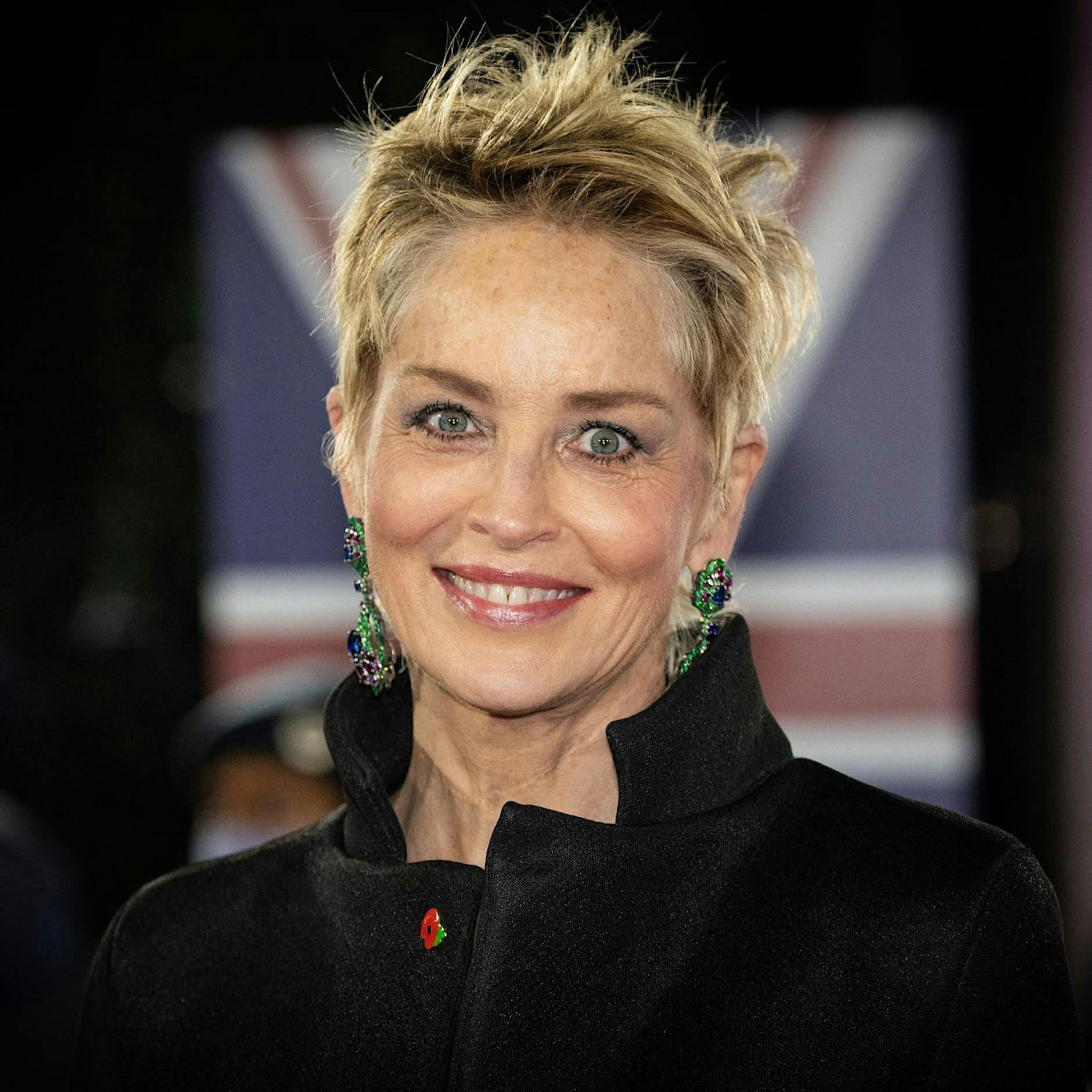US-Bankenkrise: Sharon Stone verliert die Hälfte ihres Vermögens