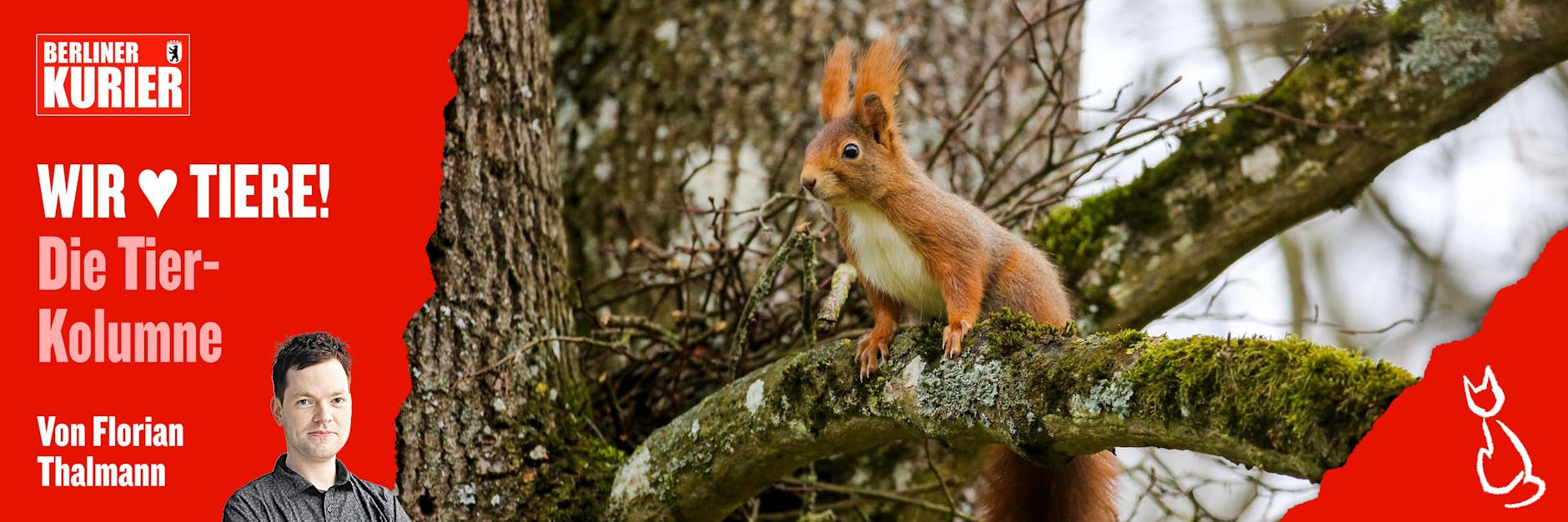 Wenn ein Eichhörnchen einem Menschen hinterherläuft, ist es wahrscheinlich auf Hilfe angewiesen.