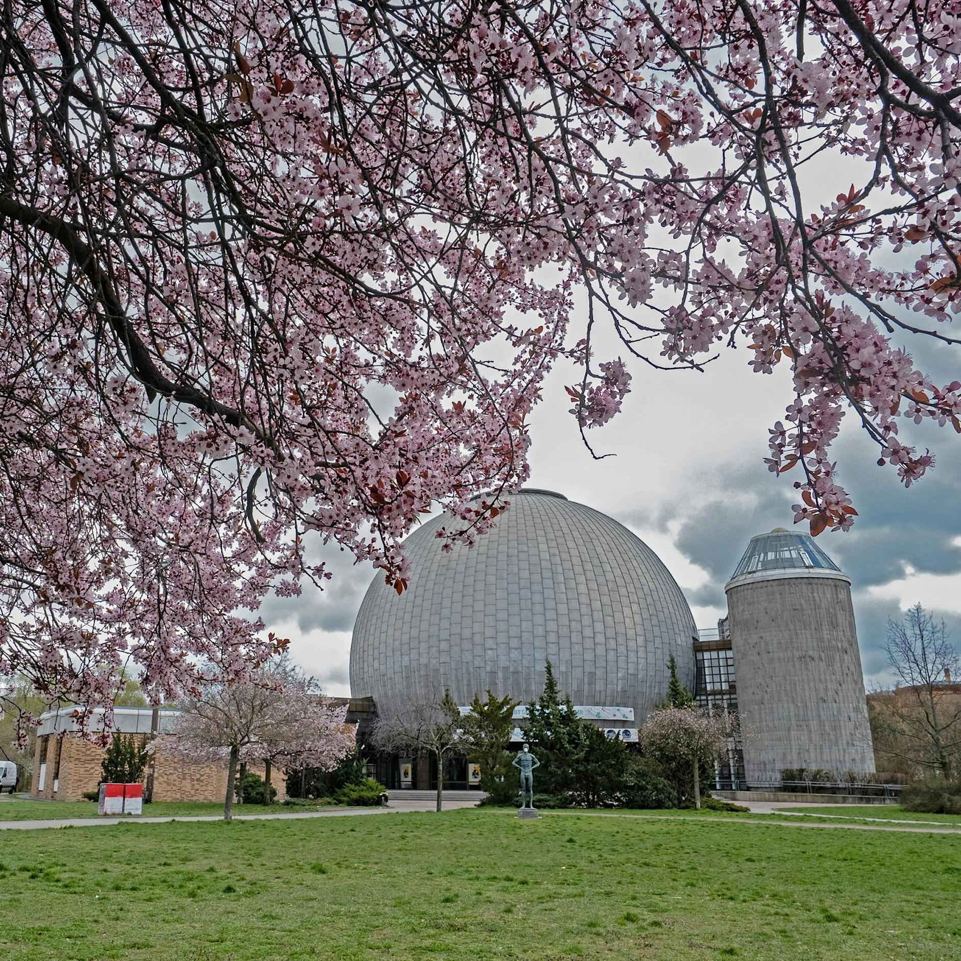Zehn Gründe, warum sich Berlin auf den Frühling freuen kann