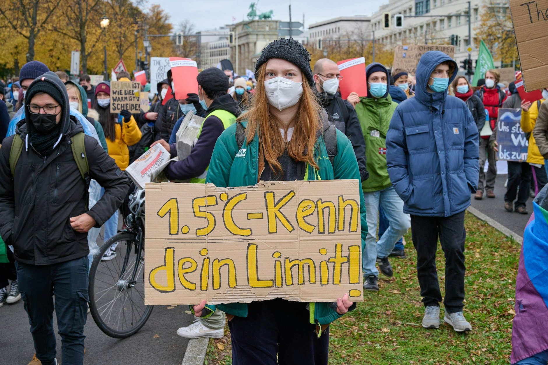 Demonstration von Fridays for Future in Berlin