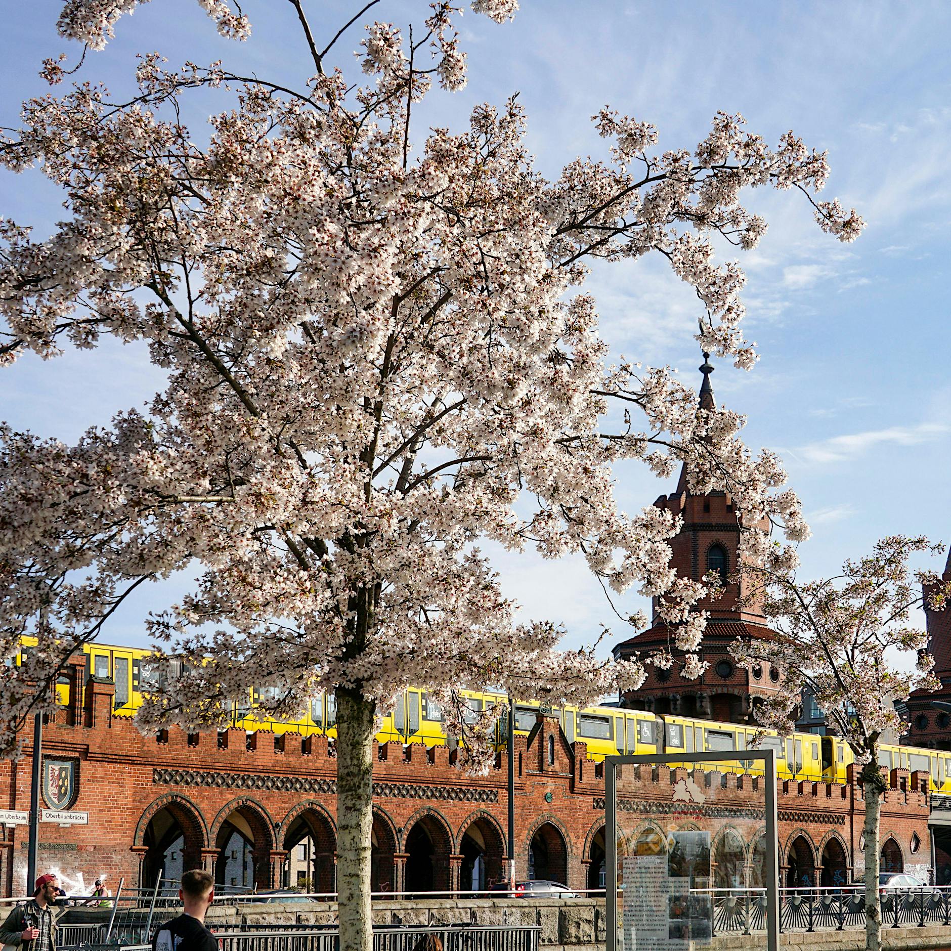 Jetzt ist in Berlin der Frühling da und alles wird gut