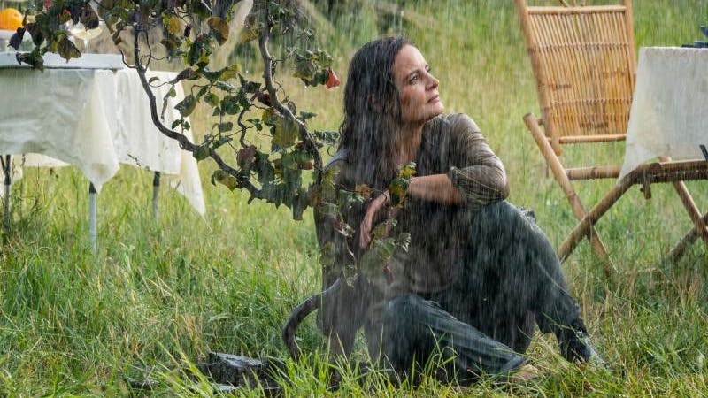 Beruflich und privat hat sich im Leben von Tierärztin Dr. Mertens einiges verändert.